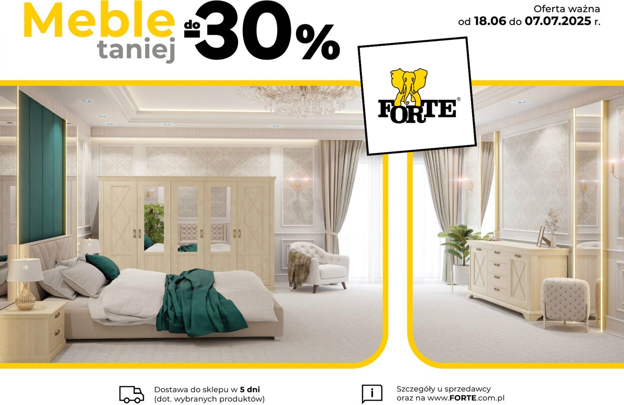 Forte Gazetki promocyjne