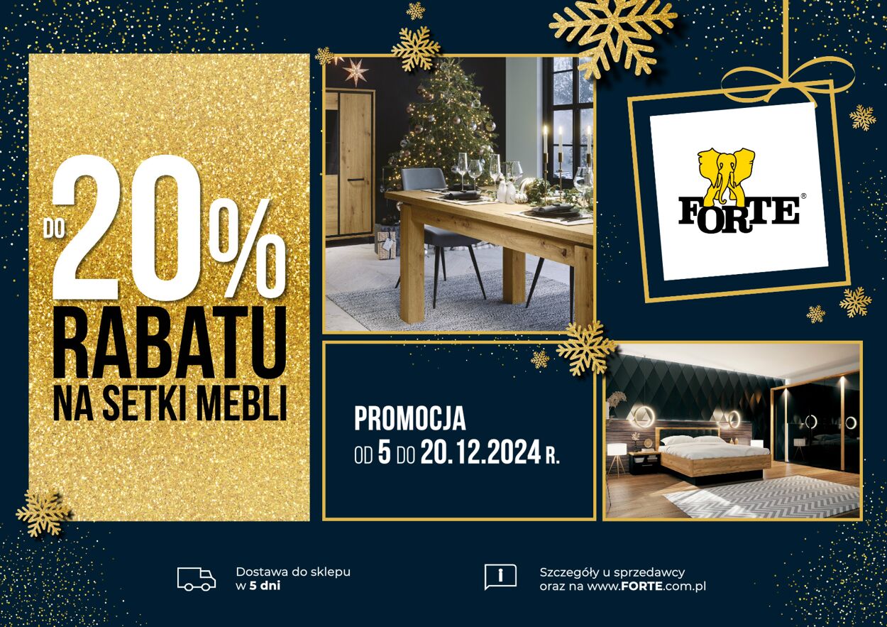 Gazetka Forte 05.12.2024 - 20.12.2024