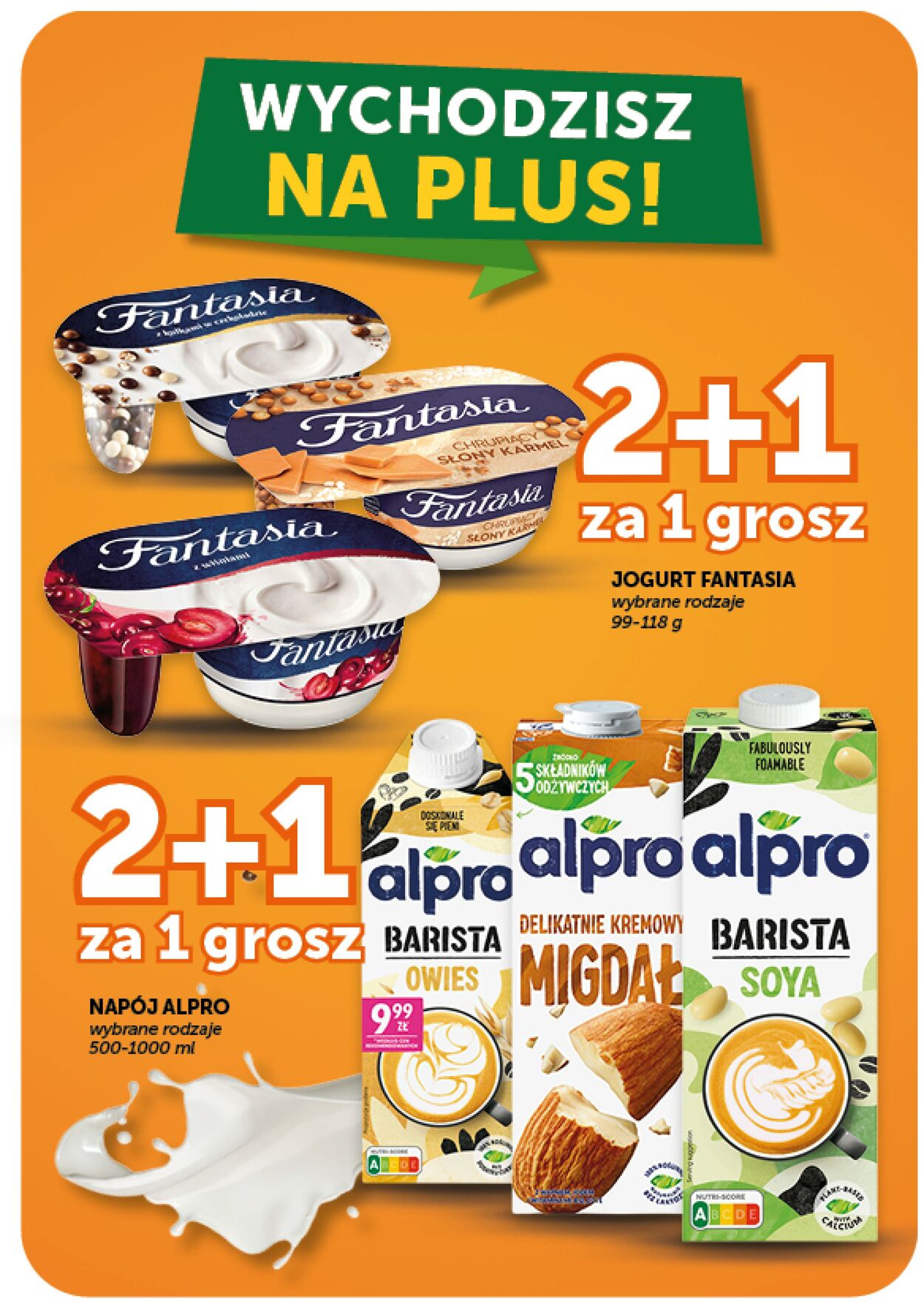 Gazetka Groszek 13.08.2026 - 19.08.2026