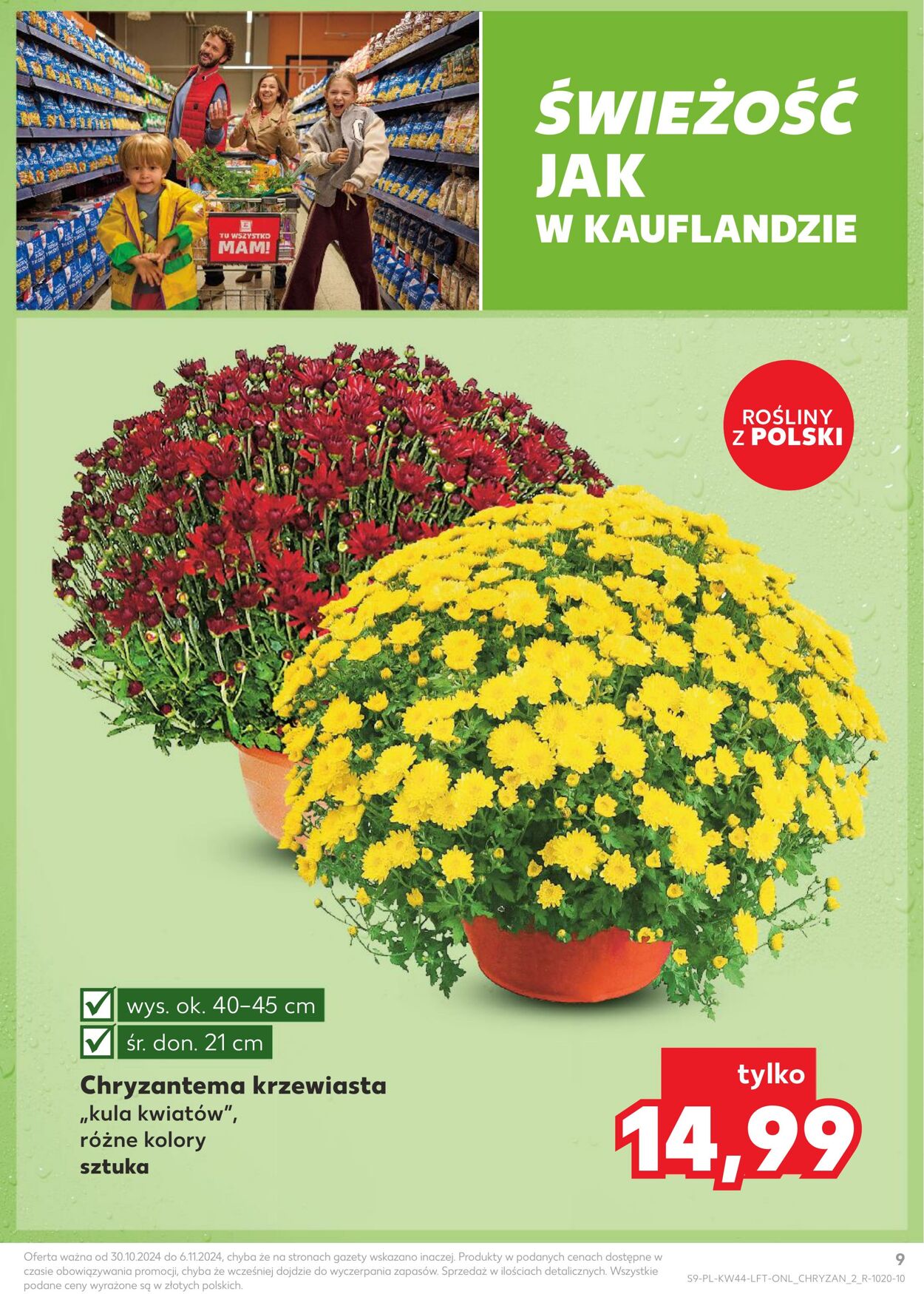 Gazetka Kaufland 30.10.2024 - 06.11.2024