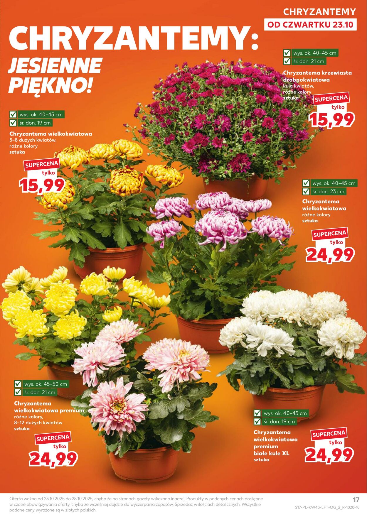 Gazetka Kaufland 23.10.2025 - 28.10.2025