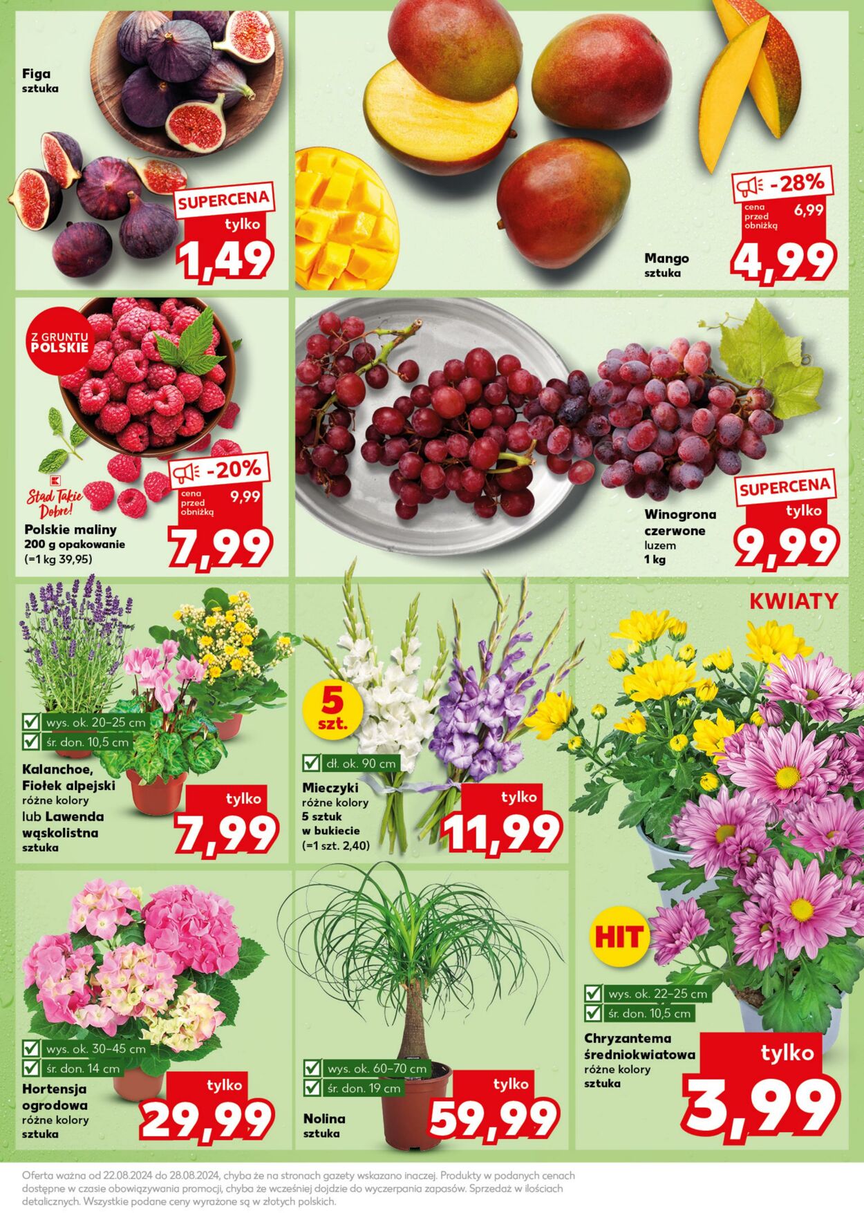 Gazetka Kaufland 26.08.2024 - 28.08.2024