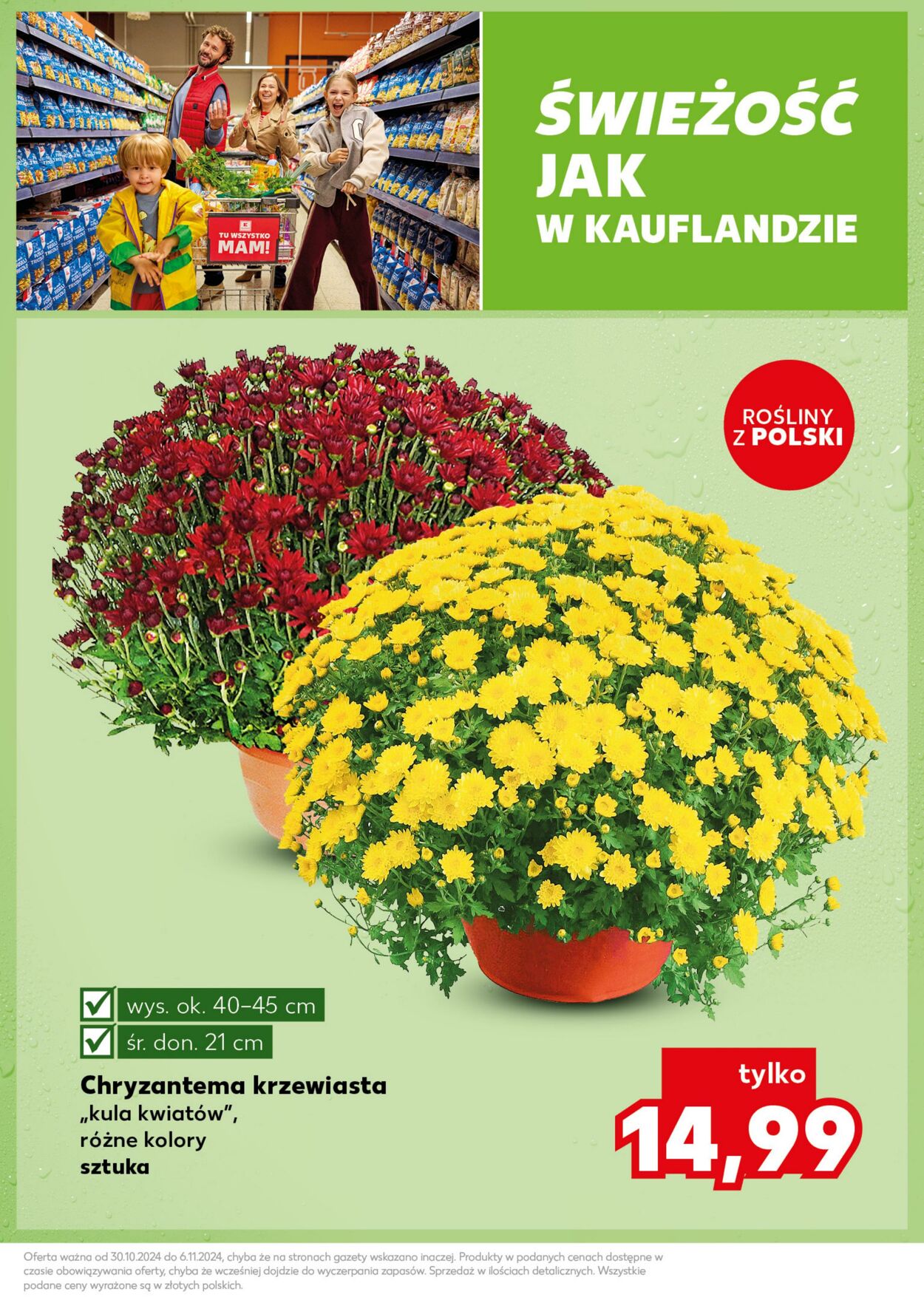 Gazetka Kaufland 04.11.2024 - 06.11.2024