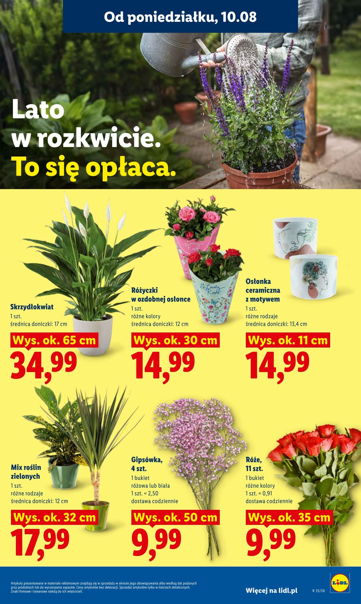 Gazetka Lidl 10.08.2026 - 11.08.2026