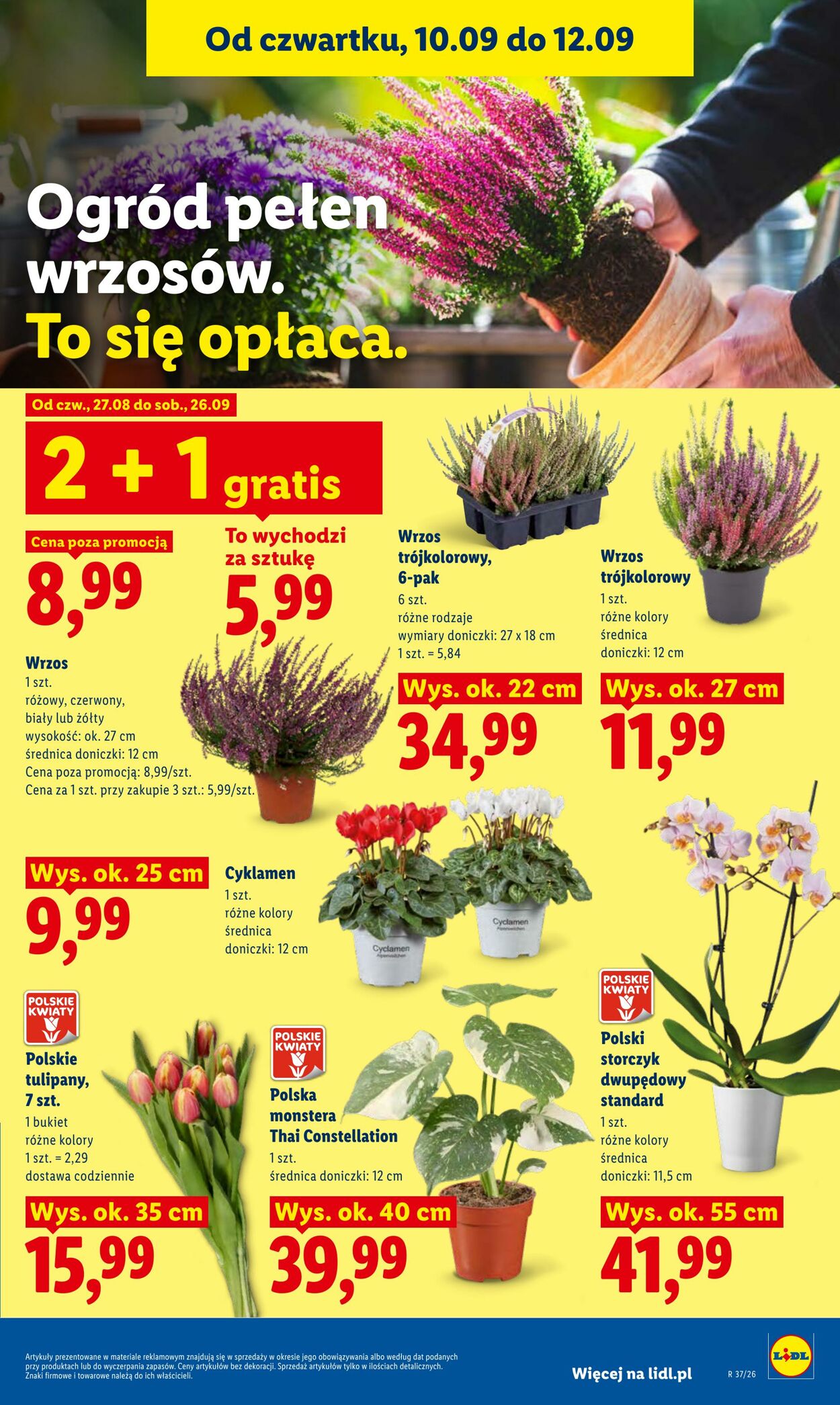 Gazetka Lidl 10.09.2026 - 12.09.2026