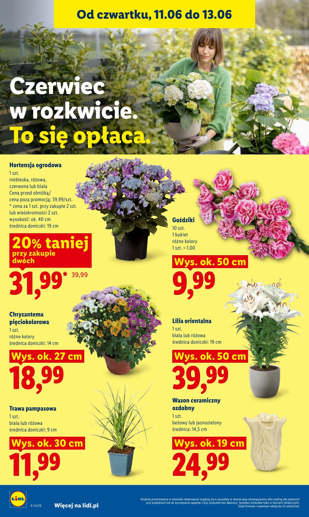 Gazetka Lidl 11.06.2026 - 13.06.2026