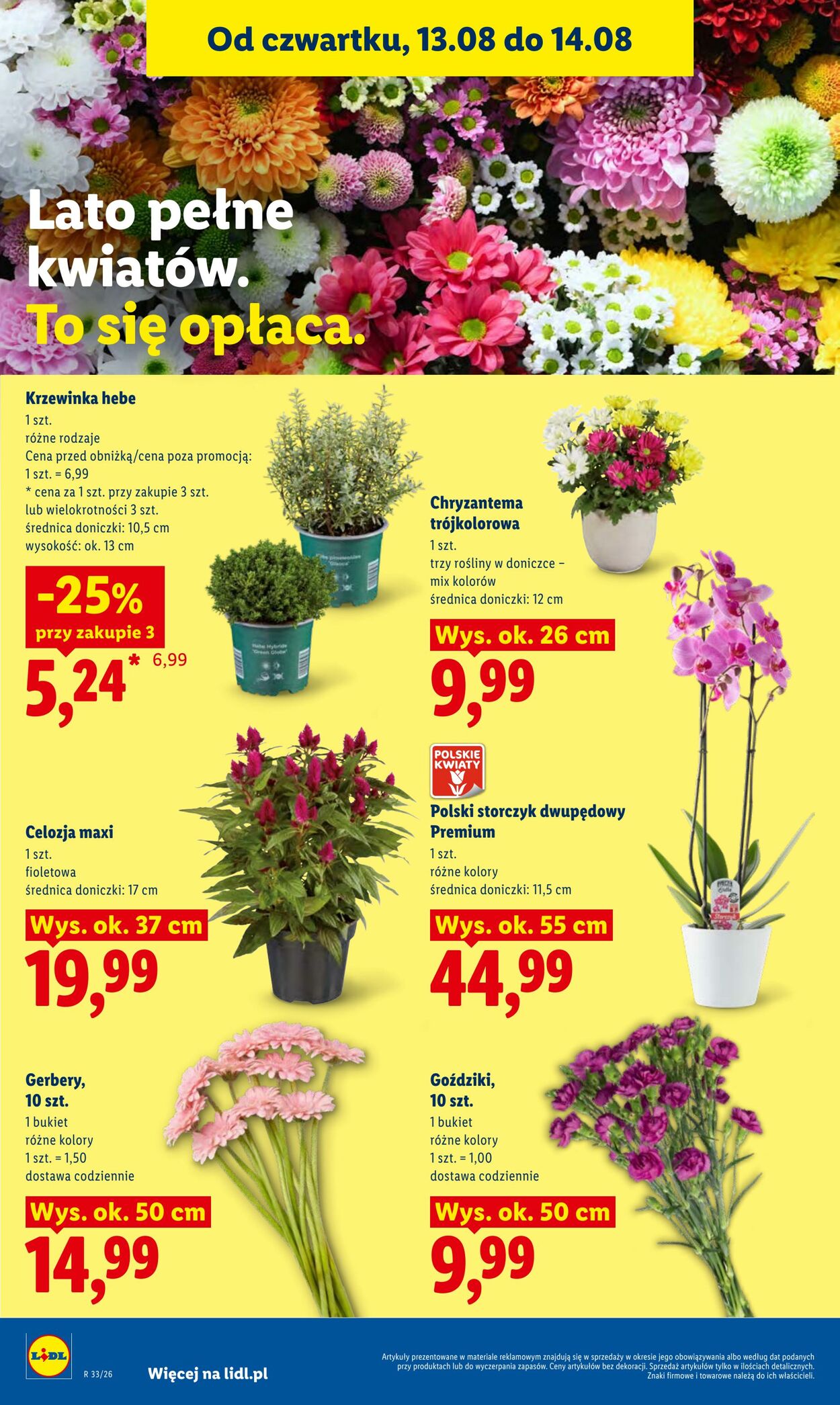 Gazetka Lidl 12.08.2026 - 14.08.2026