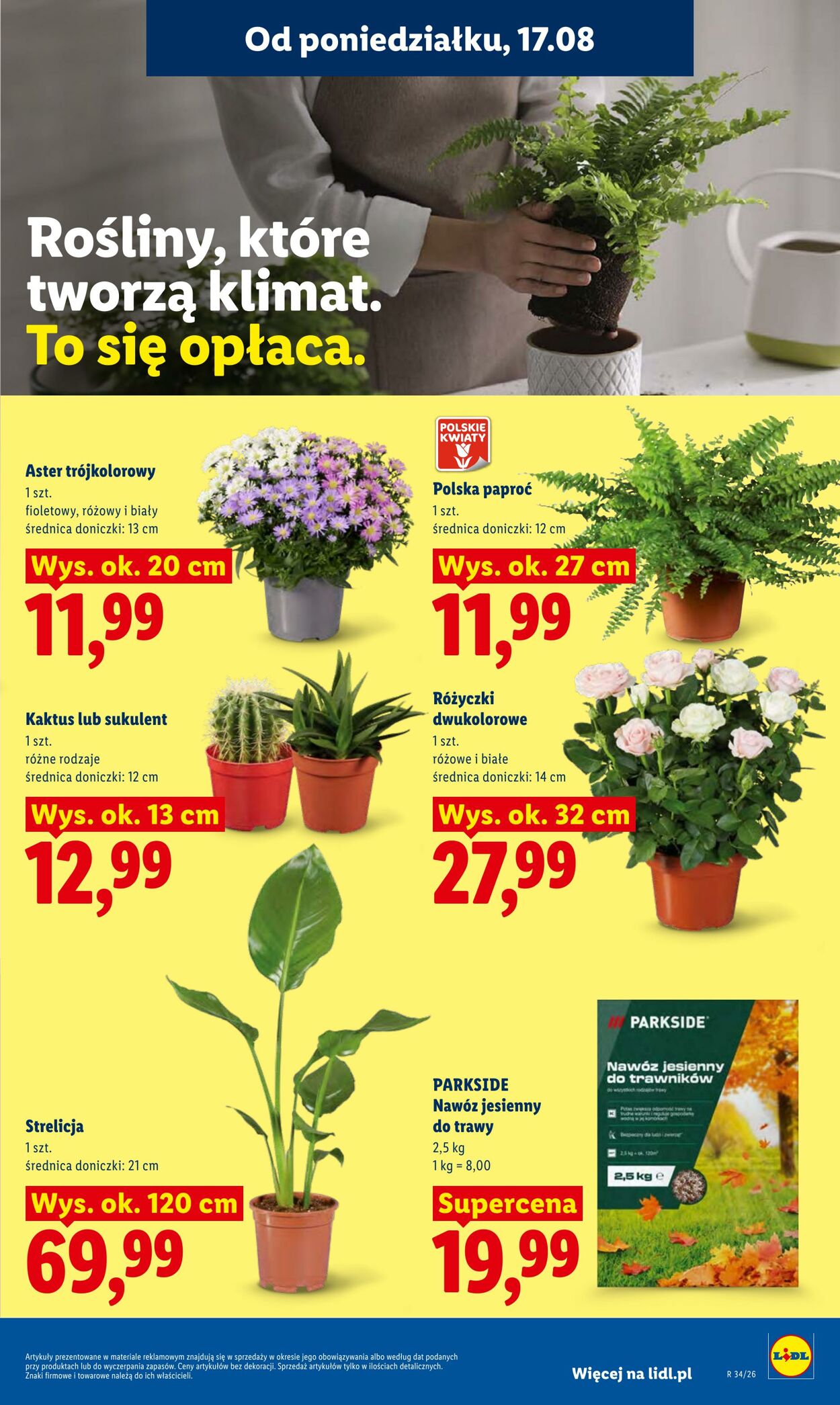 Gazetka Lidl 17.08.2026 - 19.08.2026