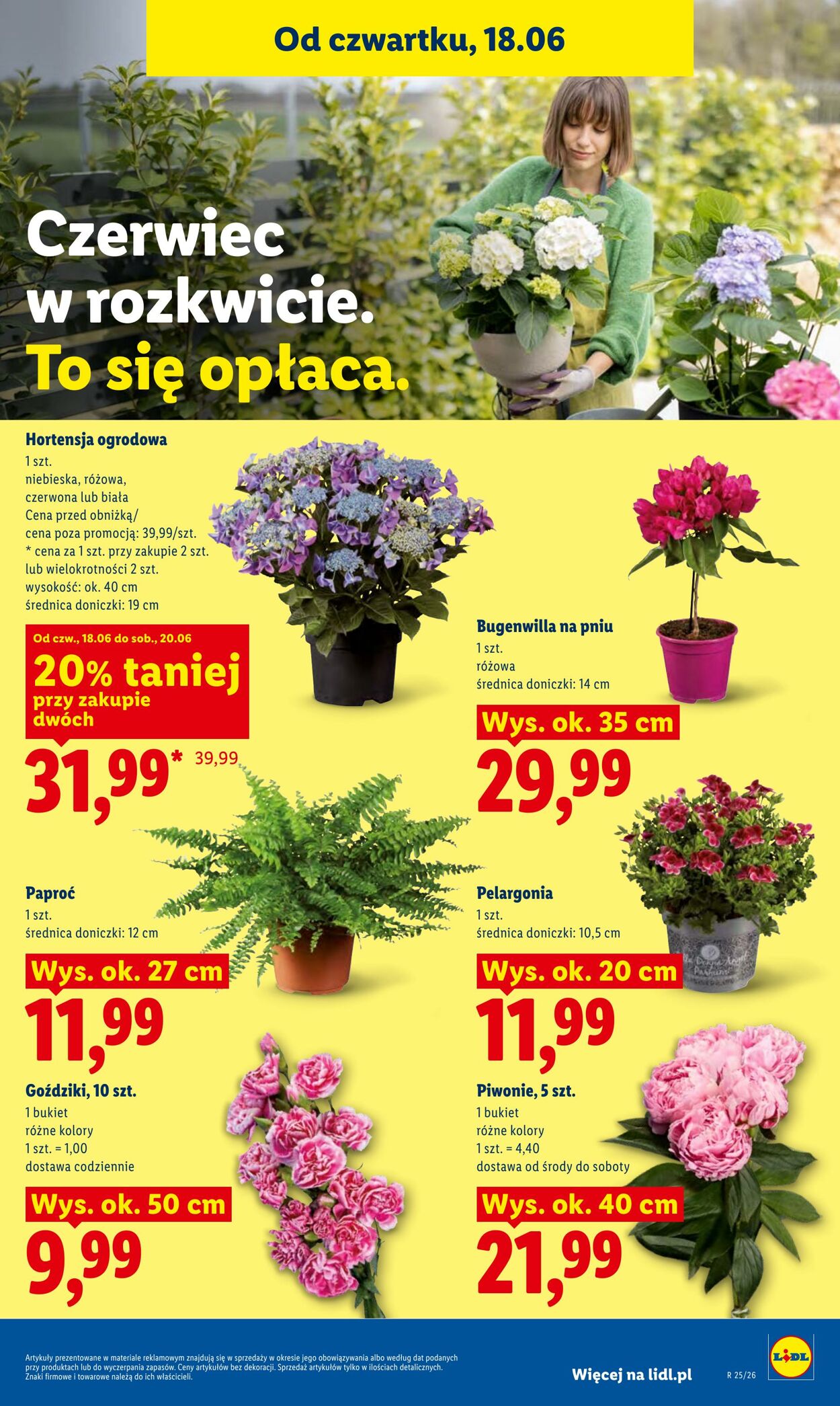 Gazetka Lidl 18.06.2026 - 20.06.2026