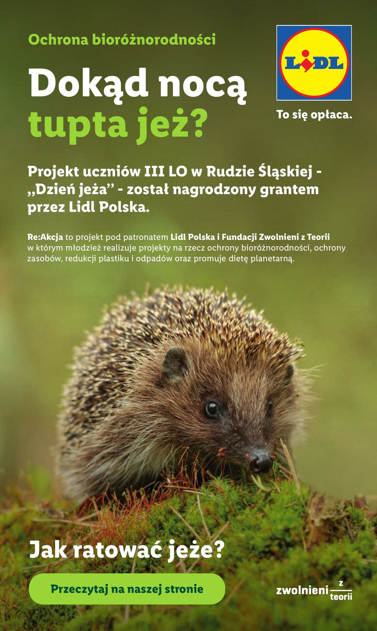 Gazetka Lidl 18.06.2026 - 20.06.2026