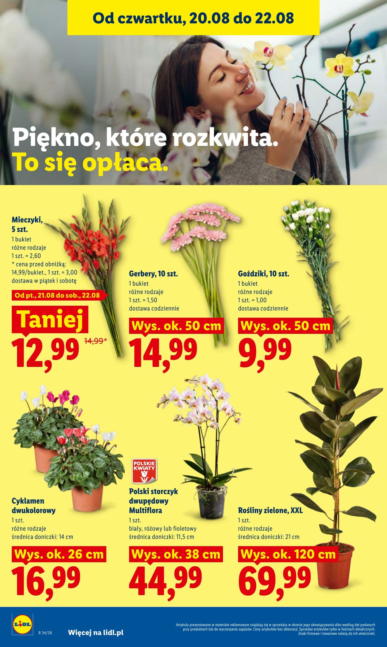 Gazetka Lidl 20.08.2026 - 22.08.2026