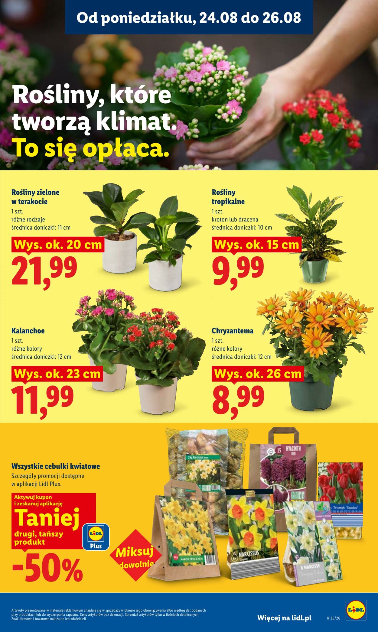 Gazetka Lidl 24.08.2026 - 26.08.2026
