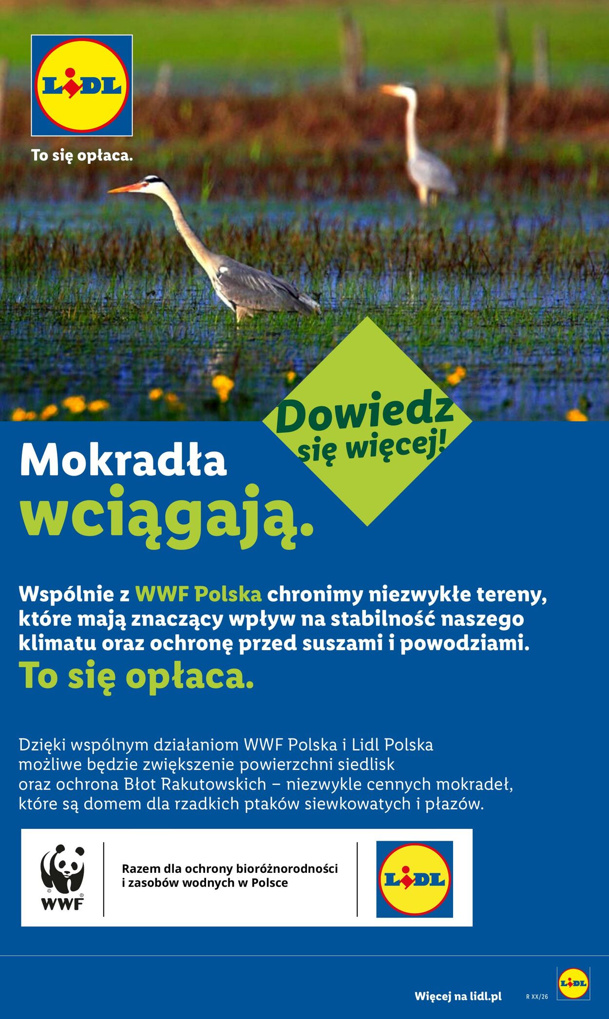 Gazetka Lidl 27.07.2026 - 29.07.2026
