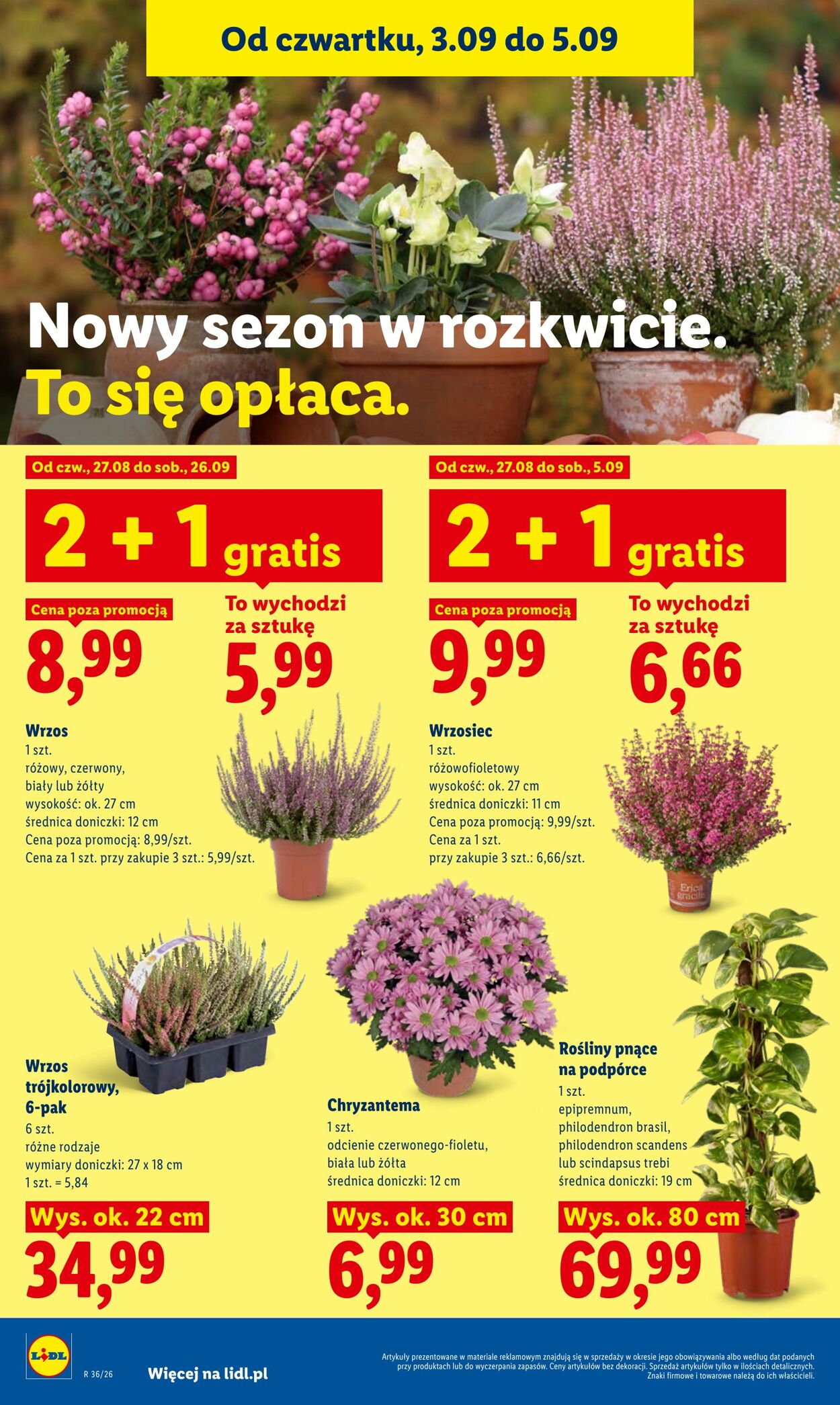 Gazetka Lidl 03.09.2026 - 05.09.2026
