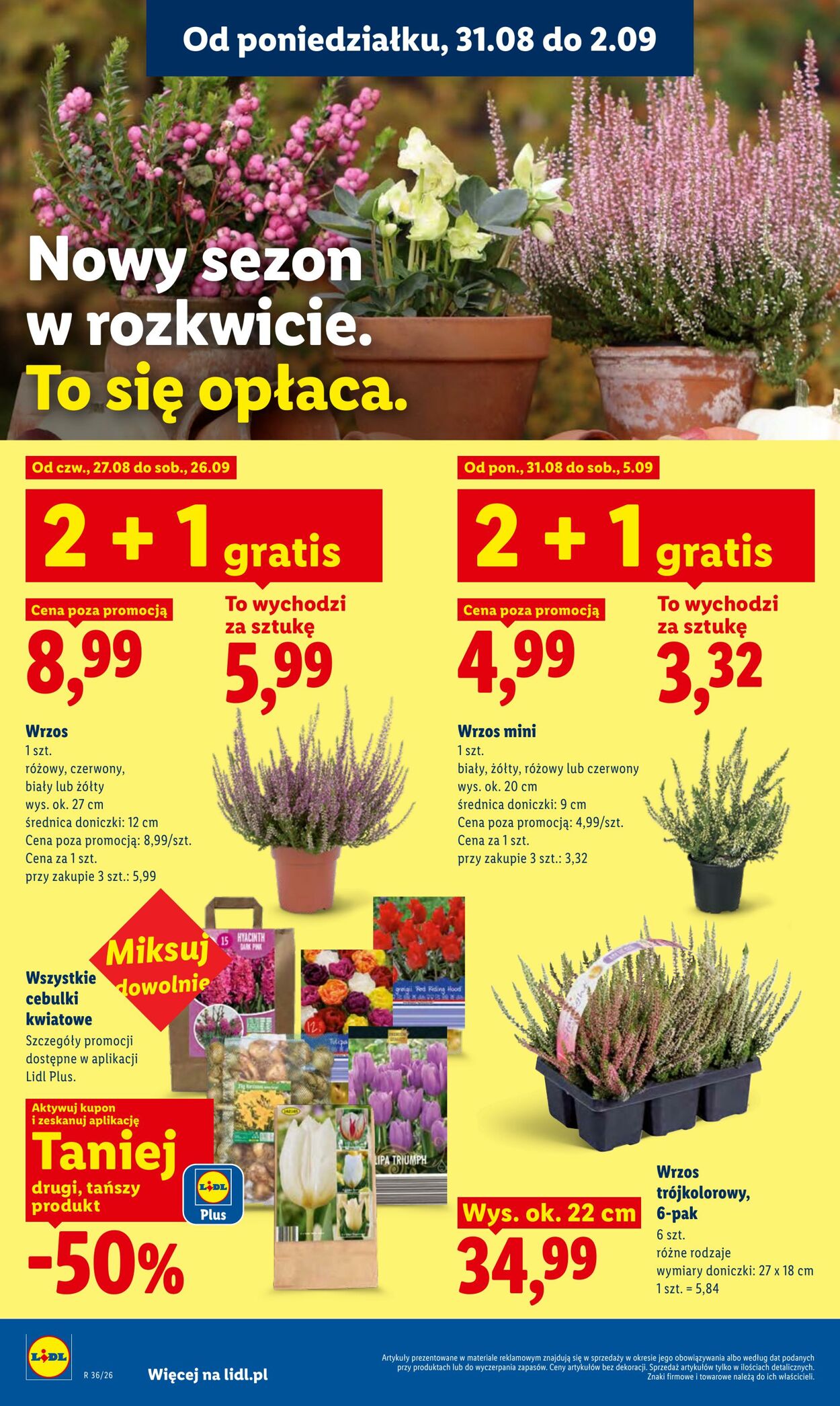 Gazetka Lidl 31.08.2026 - 02.09.2026
