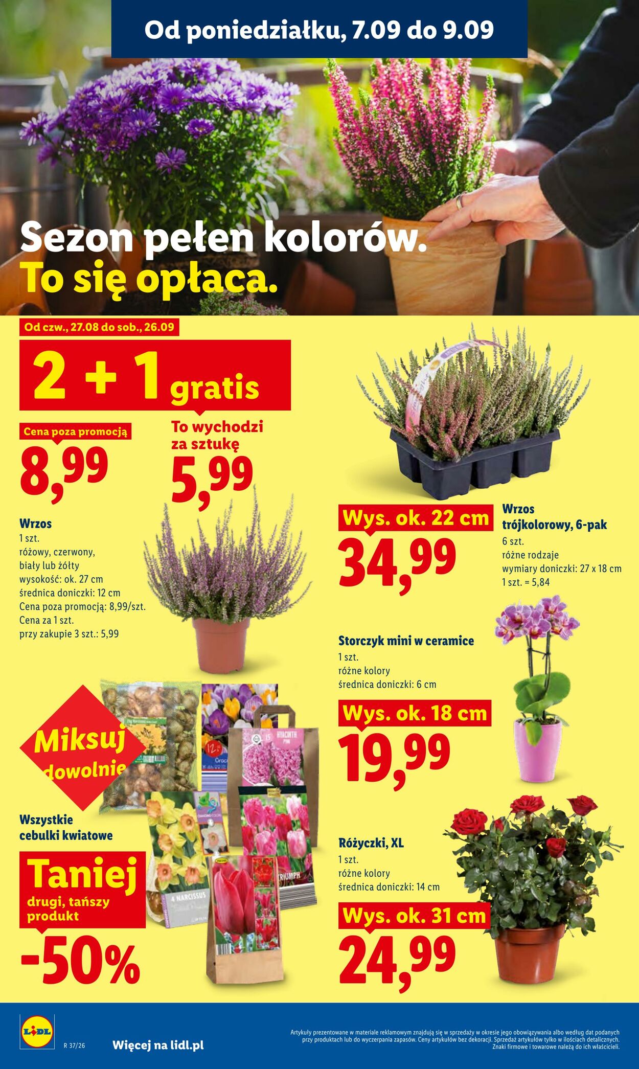 Gazetka Lidl 07.09.2026 - 09.09.2026
