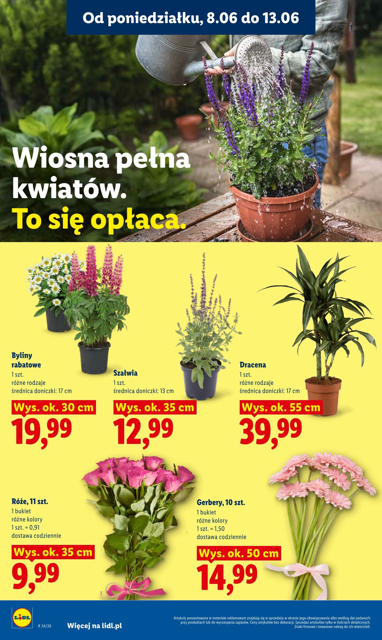 Gazetka Lidl 08.06.2026 - 10.06.2026