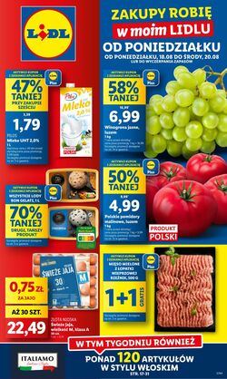 Gazetka Lidl 18.08.2025 - 20.08.2025