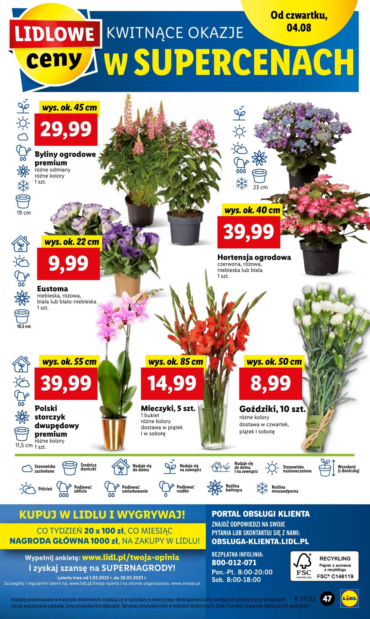 Gazetka Lidl 03.08.2022 - 05.08.2022