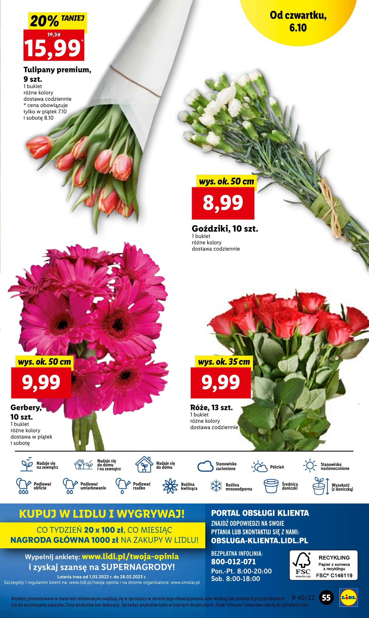 Gazetka Lidl 06.10.2022 - 08.10.2022