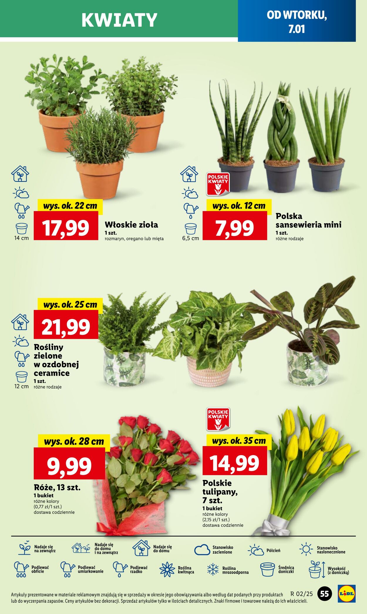 Gazetka Lidl 07.01.2025 - 08.01.2025