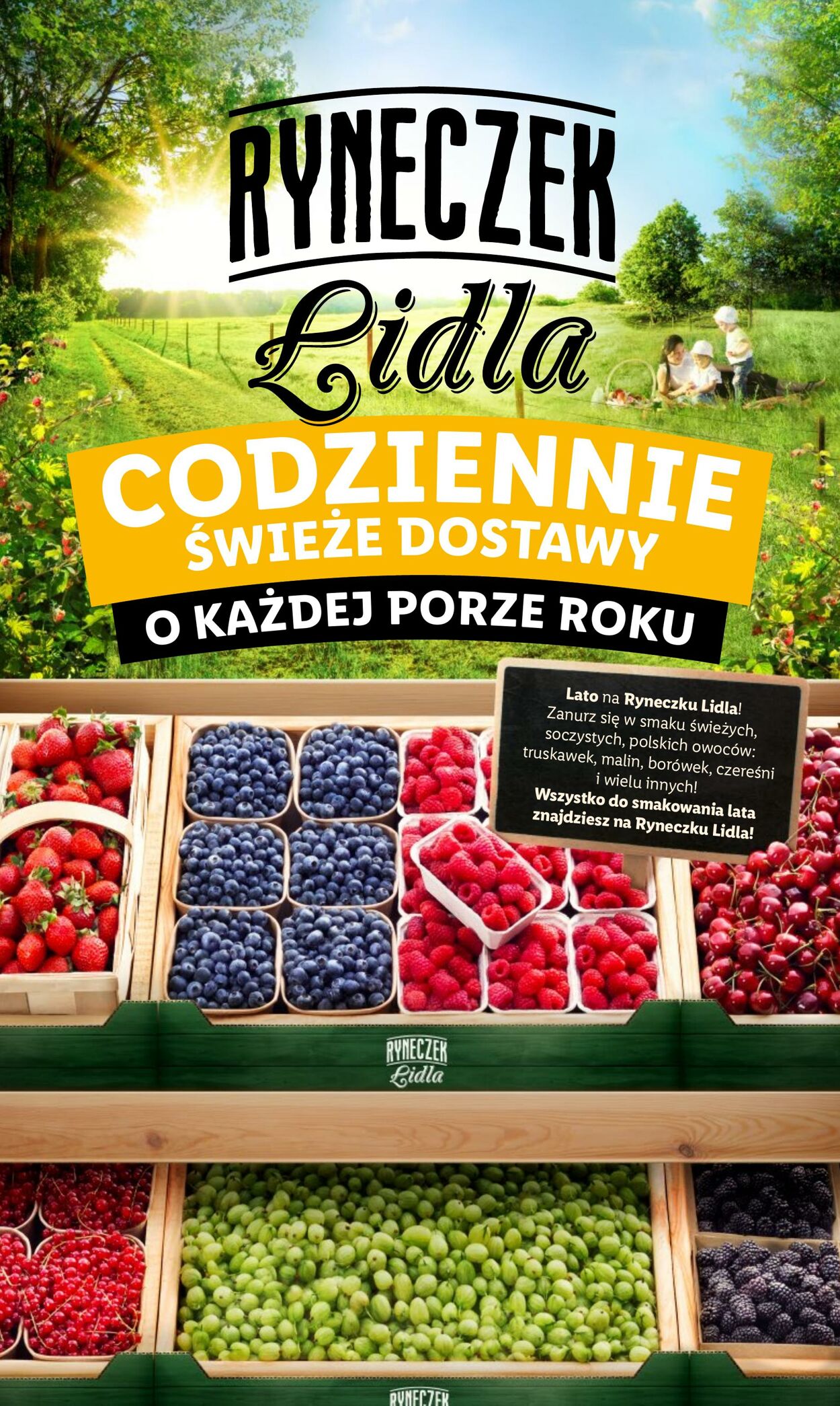 Gazetka Lidl 01.07.2024 - 03.07.2024