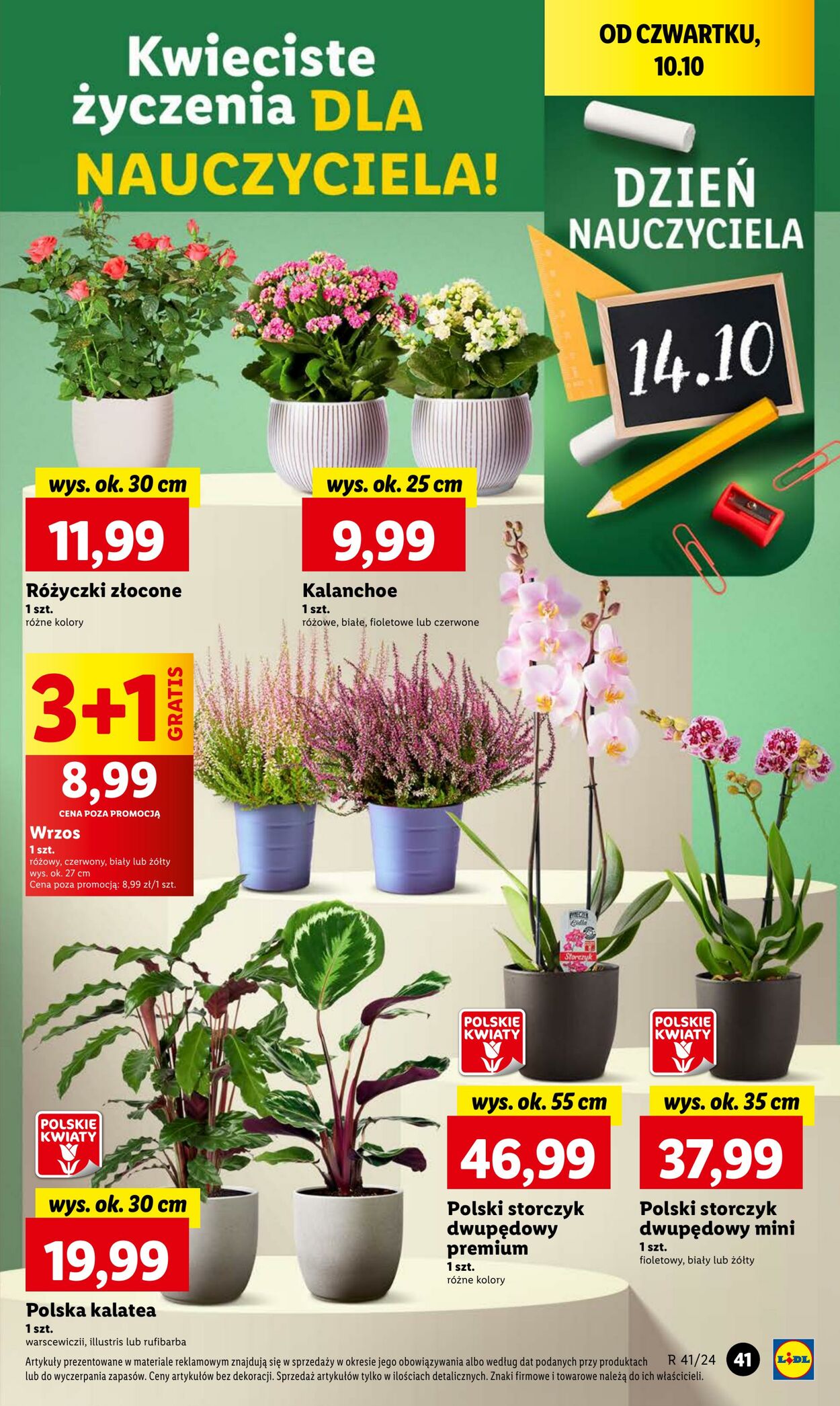 Gazetka Lidl 10.10.2024 - 12.10.2024