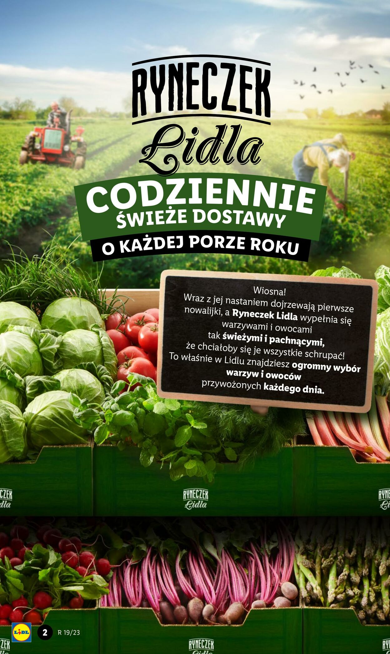 Gazetka Lidl 11.05.2023 - 13.05.2023