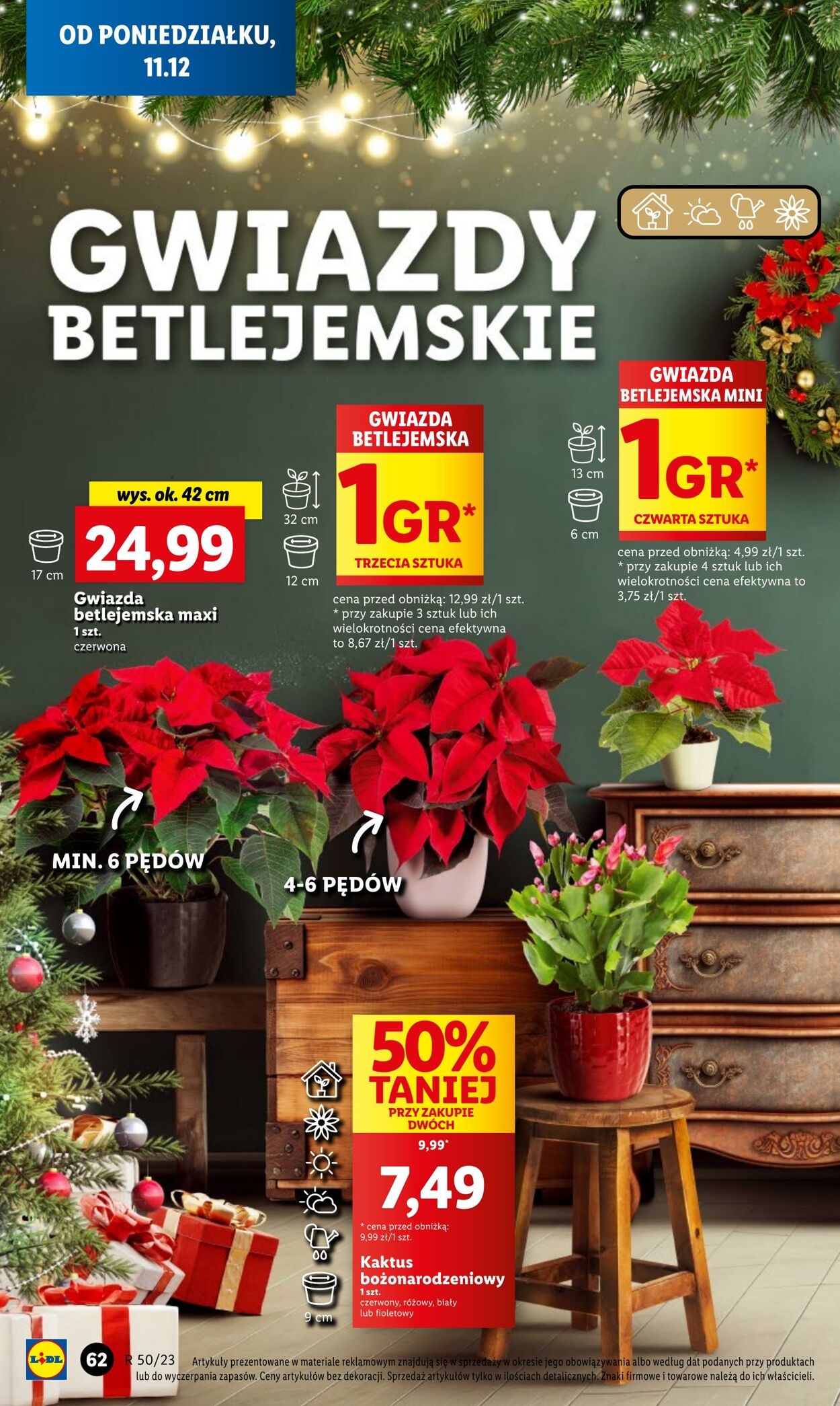 Gazetka Lidl 11.12.2023 - 13.12.2023