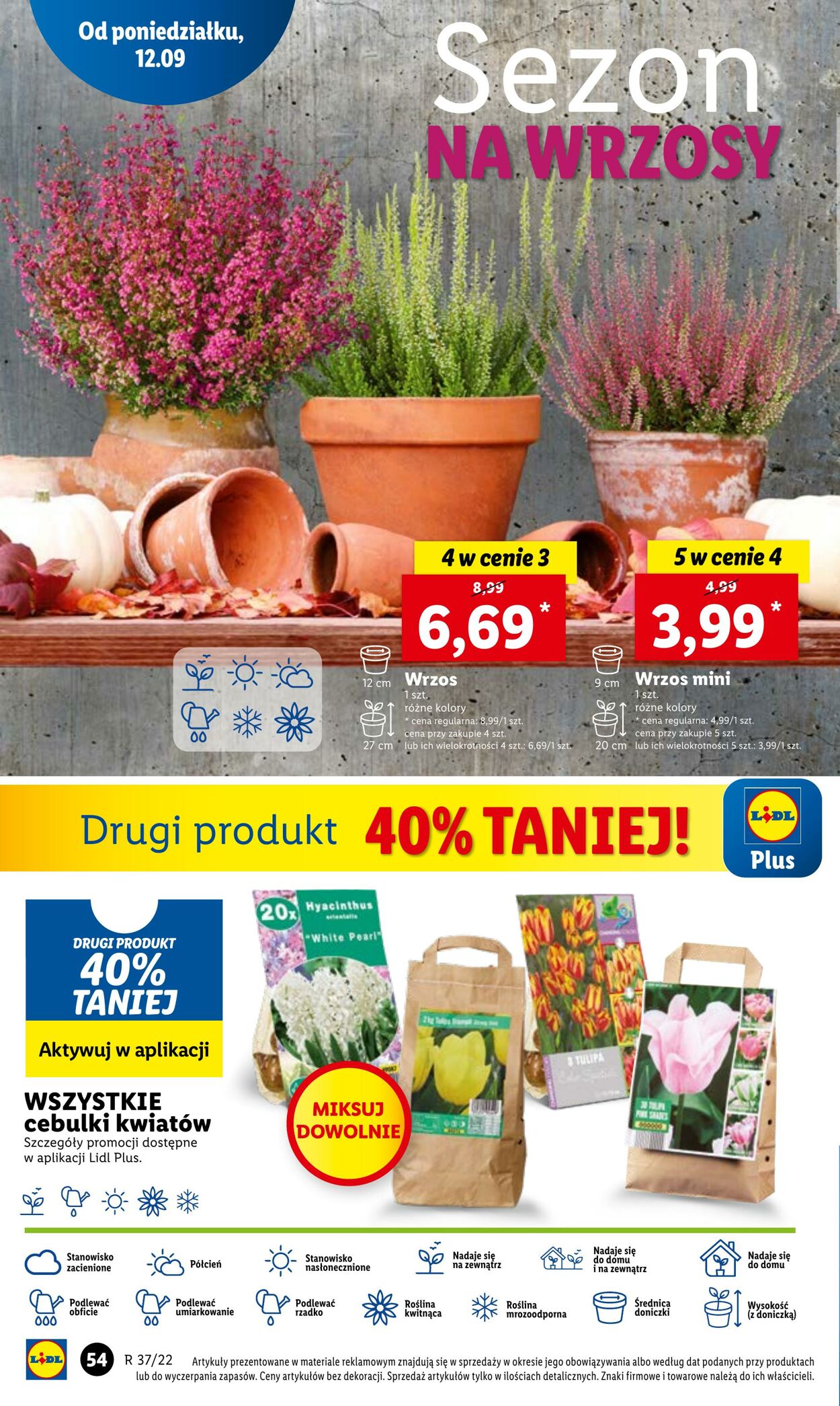 Gazetka Lidl 12.09.2022 - 14.09.2022