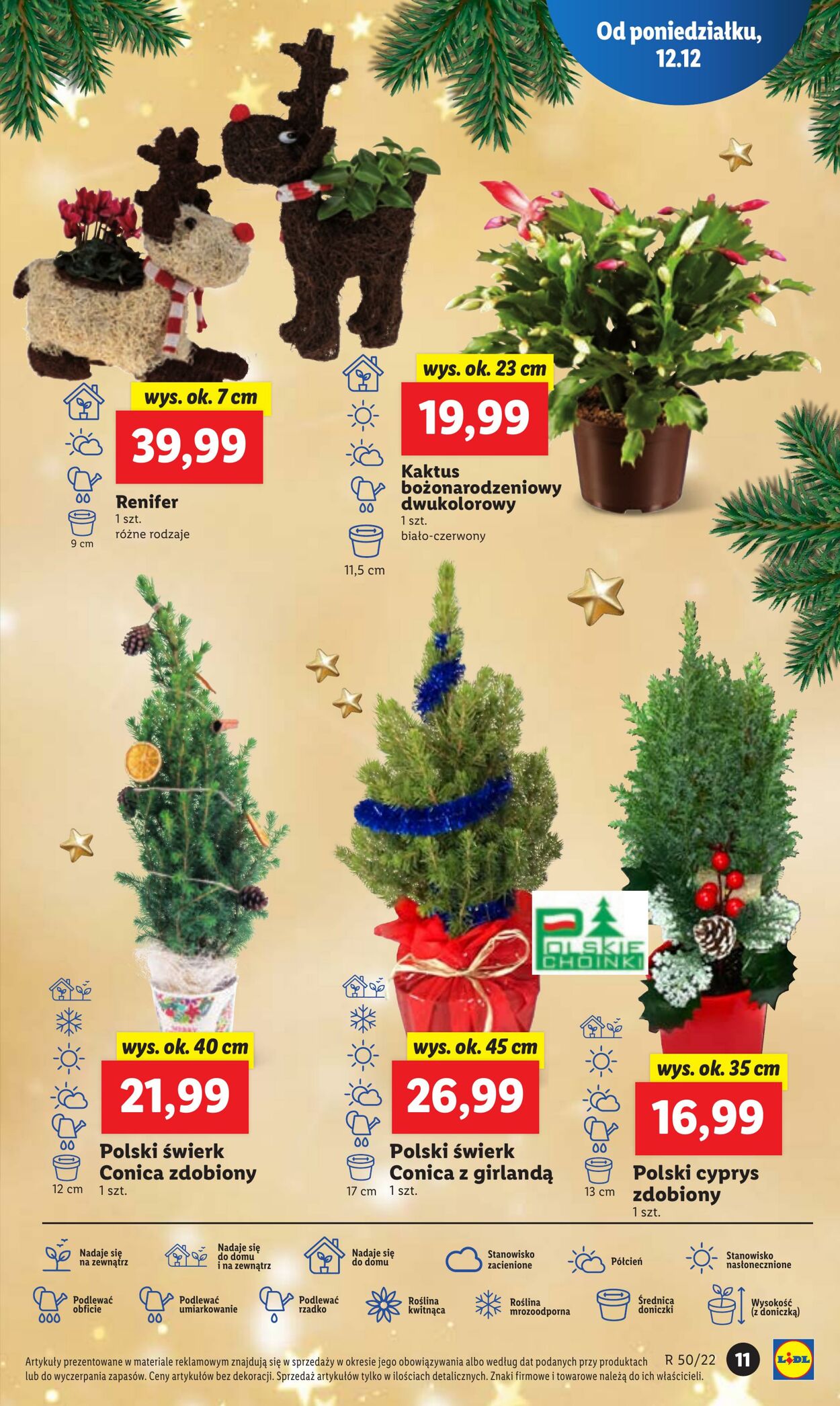 Gazetka Lidl 12.12.2022 - 14.12.2022