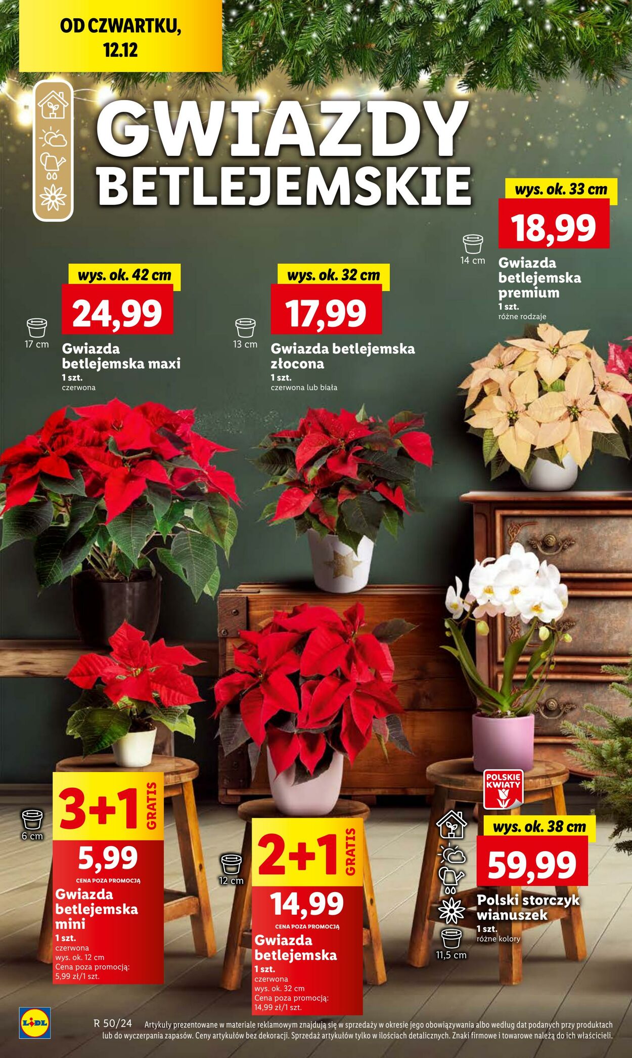 Gazetka Lidl 12.12.2024 - 15.12.2024