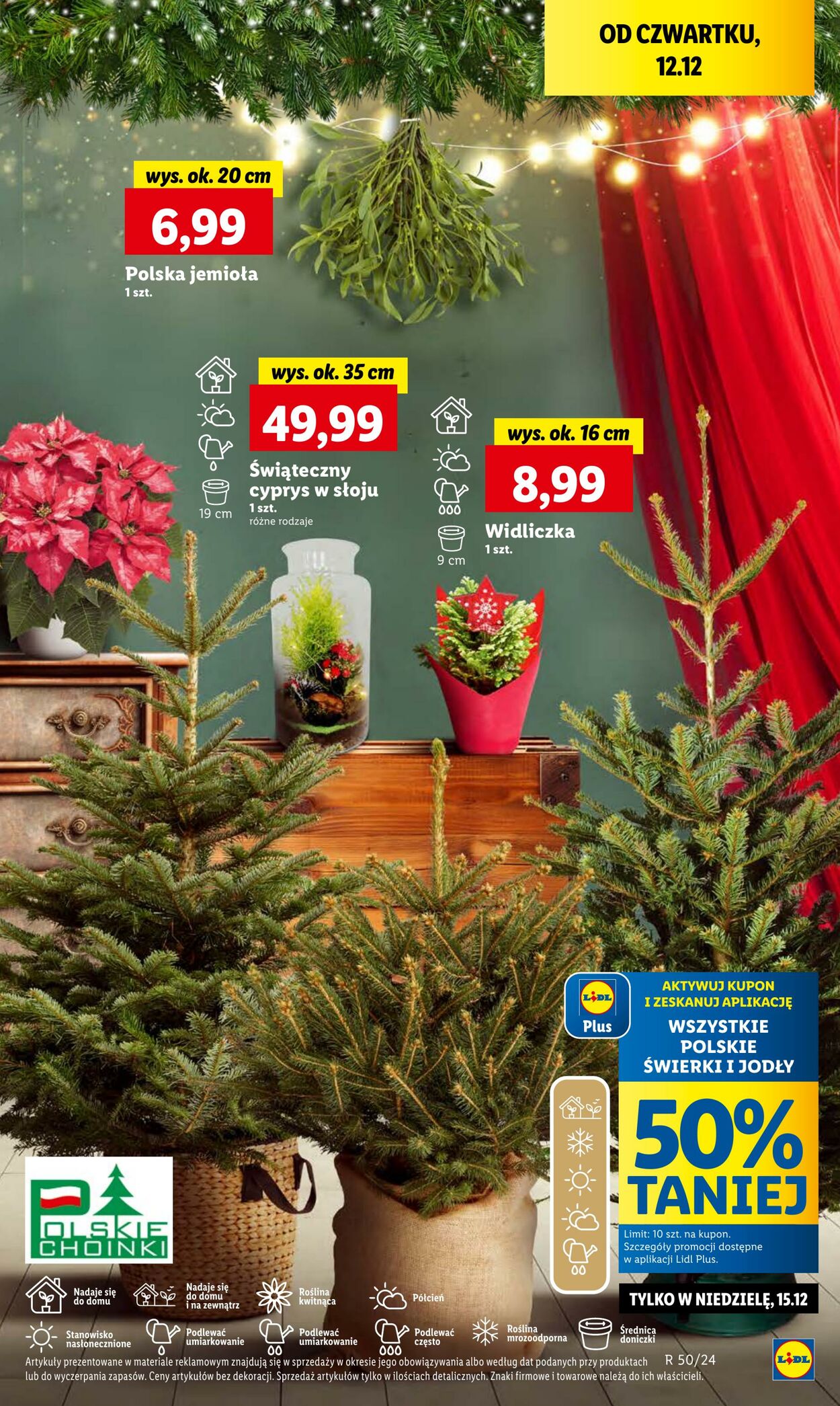 Gazetka Lidl 12.12.2024 - 15.12.2024