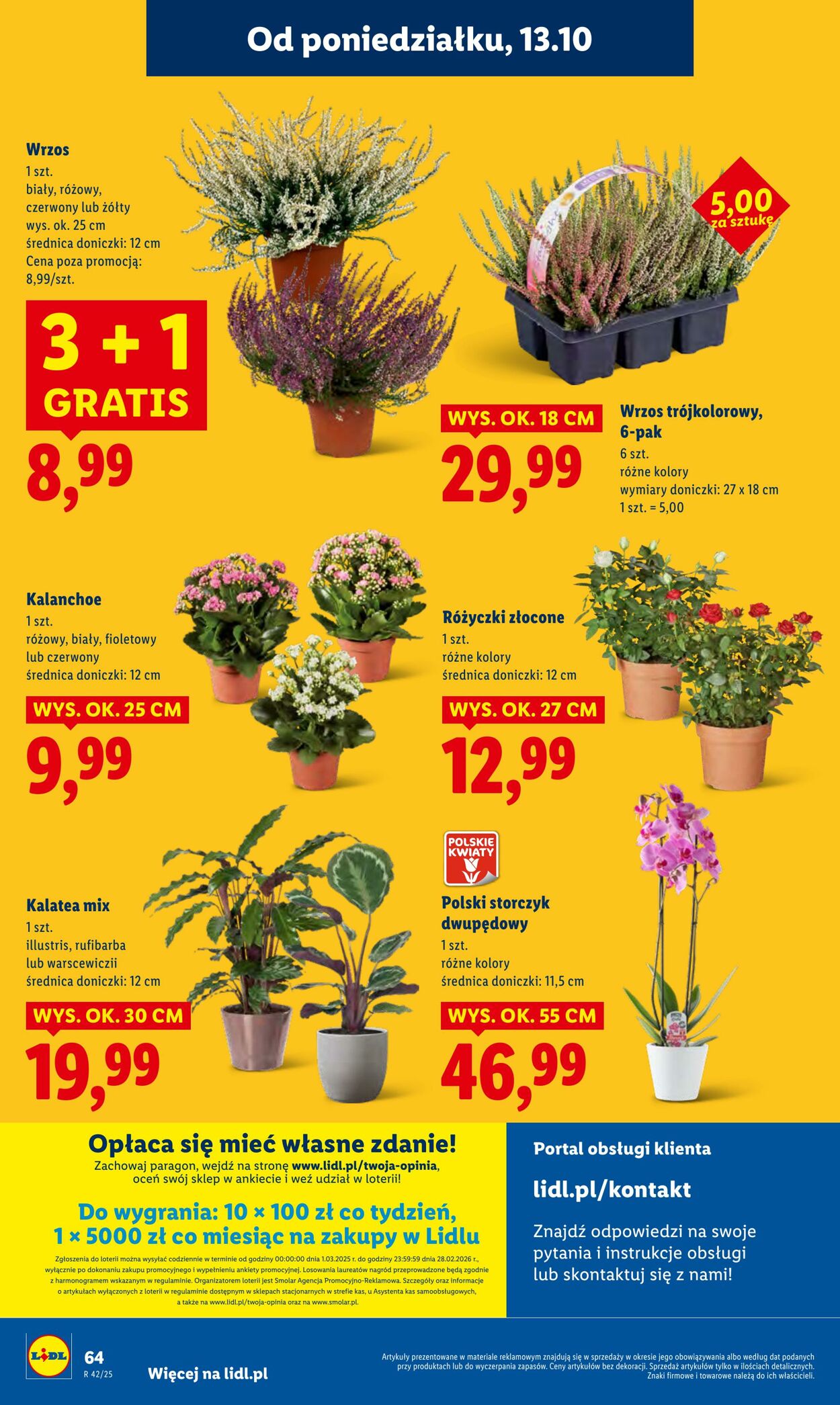Gazetka Lidl 13.10.2025 - 15.10.2025