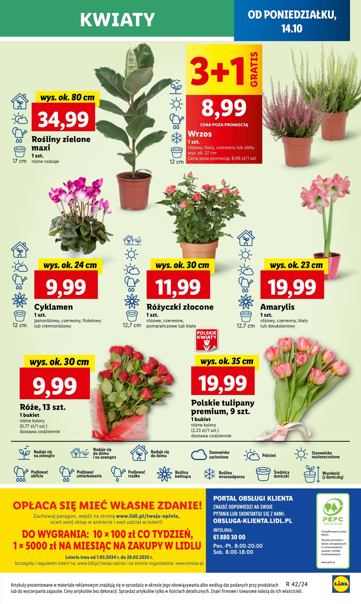 Gazetka Lidl 14.10.2024 - 16.10.2024