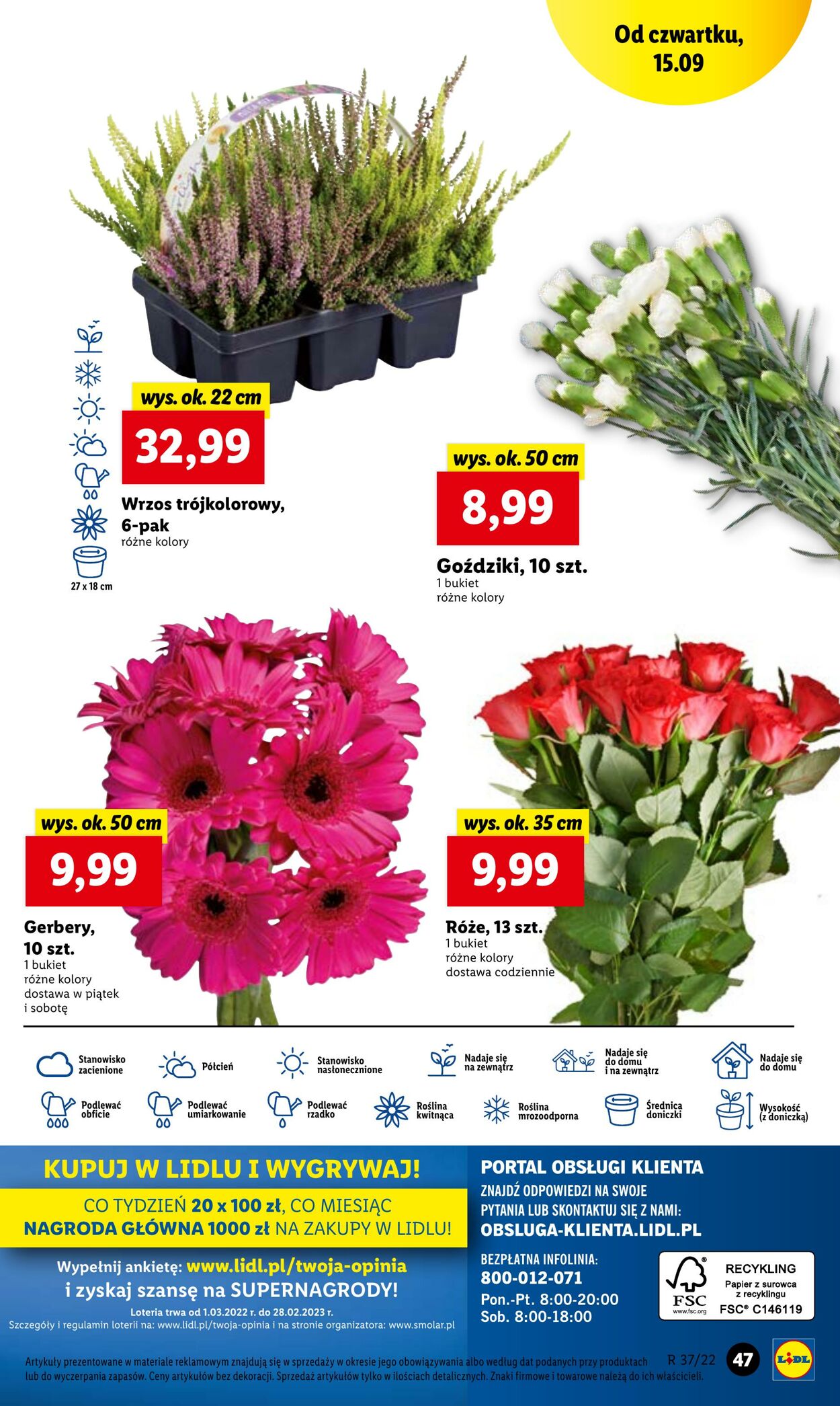 Gazetka Lidl 15.09.2022 - 17.09.2022