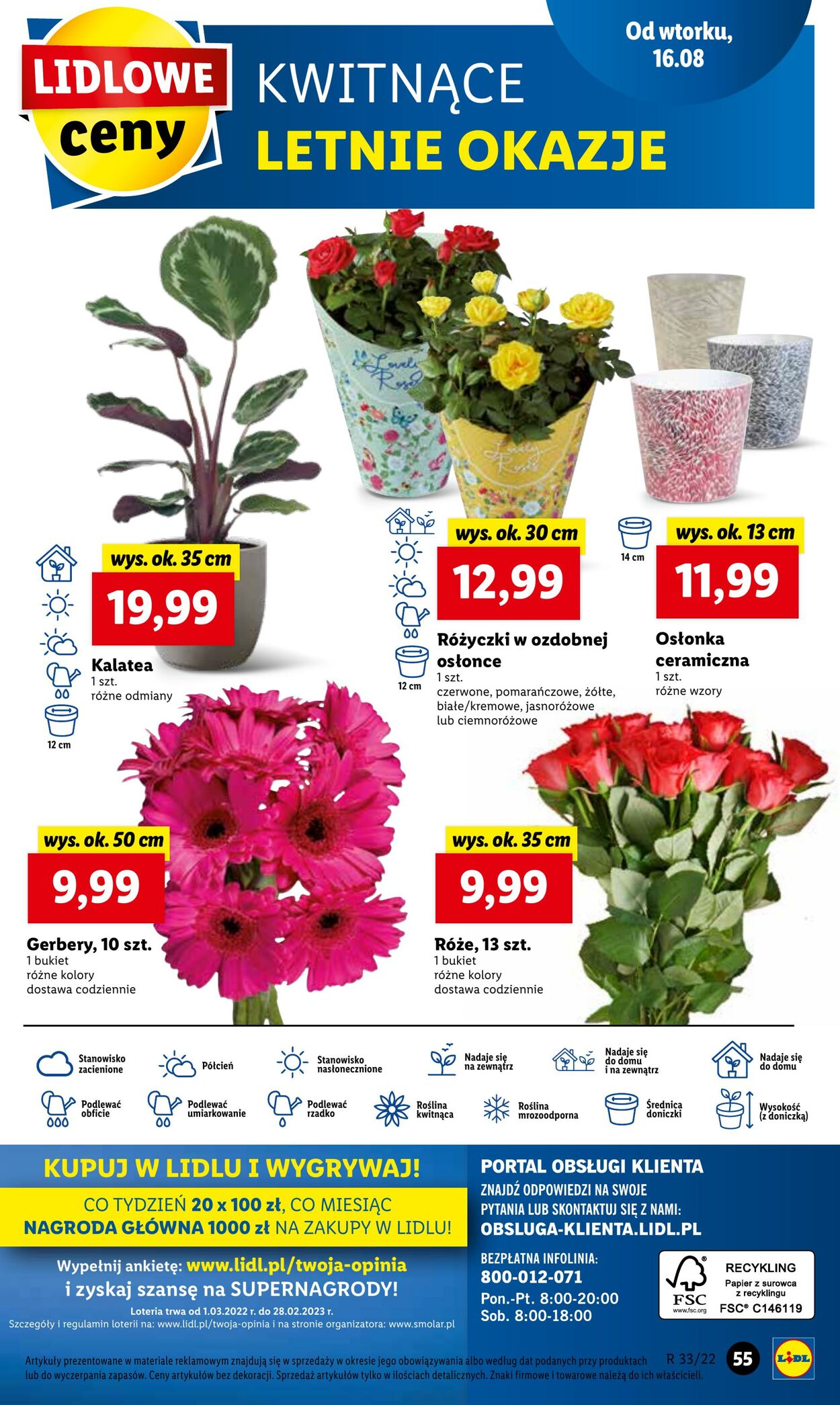 Gazetka Lidl 16.08.2022 - 17.08.2022