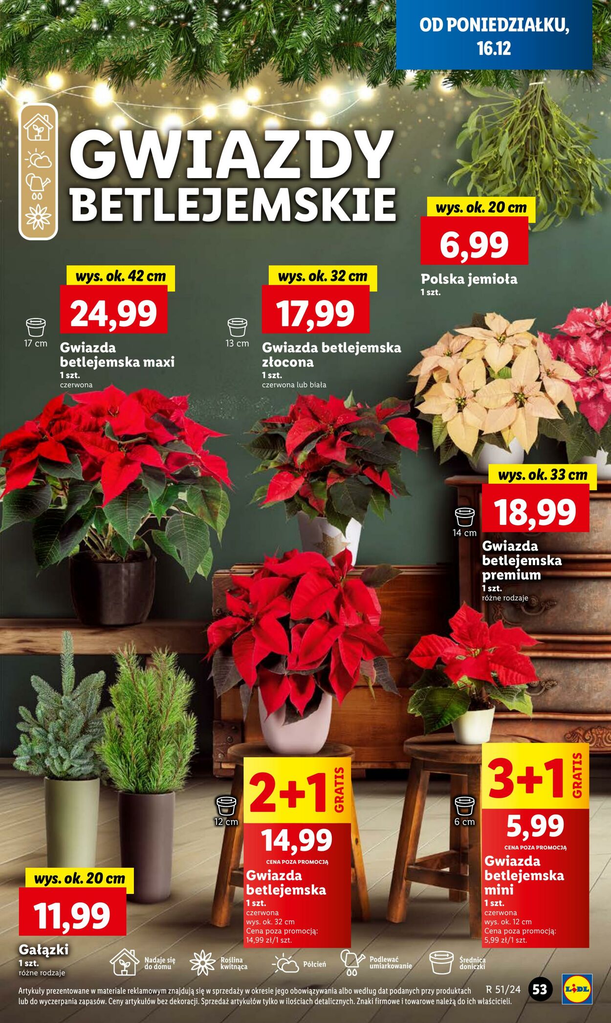 Gazetka Lidl 16.12.2024 - 18.12.2024