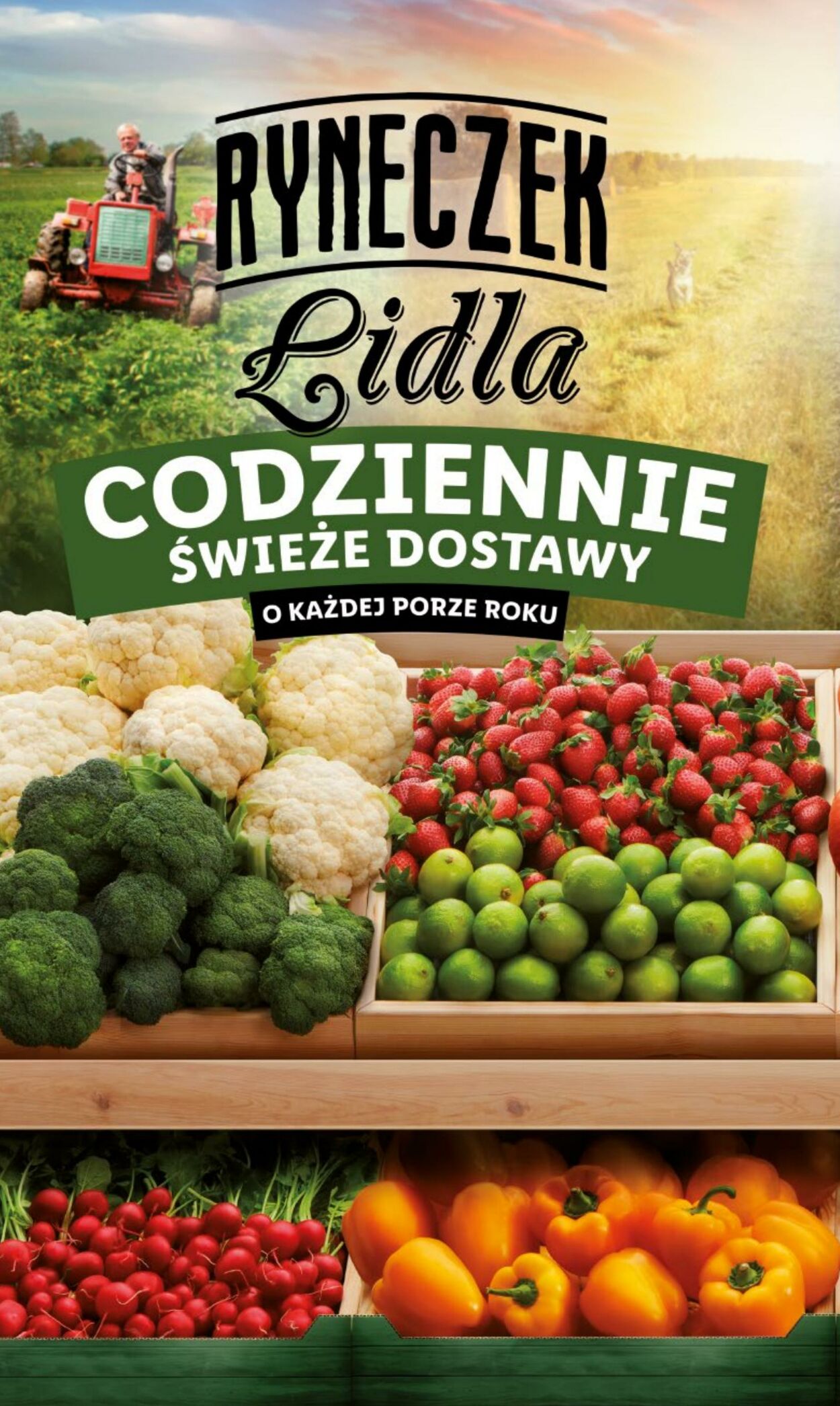 Gazetka Lidl 17.04.2023 - 19.04.2023