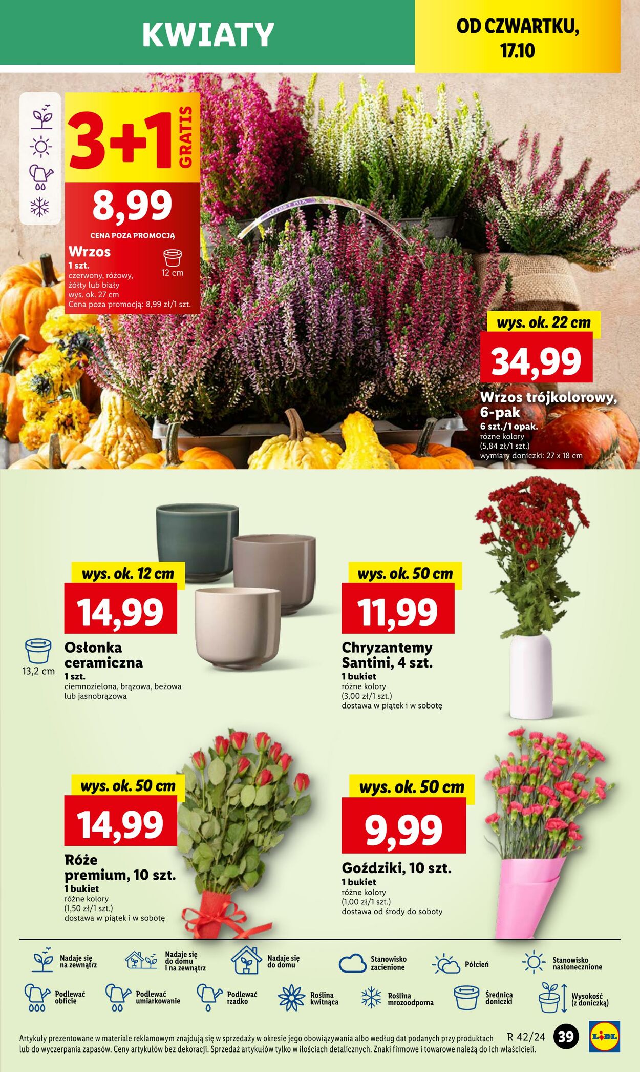 Gazetka Lidl 17.10.2024 - 19.10.2024