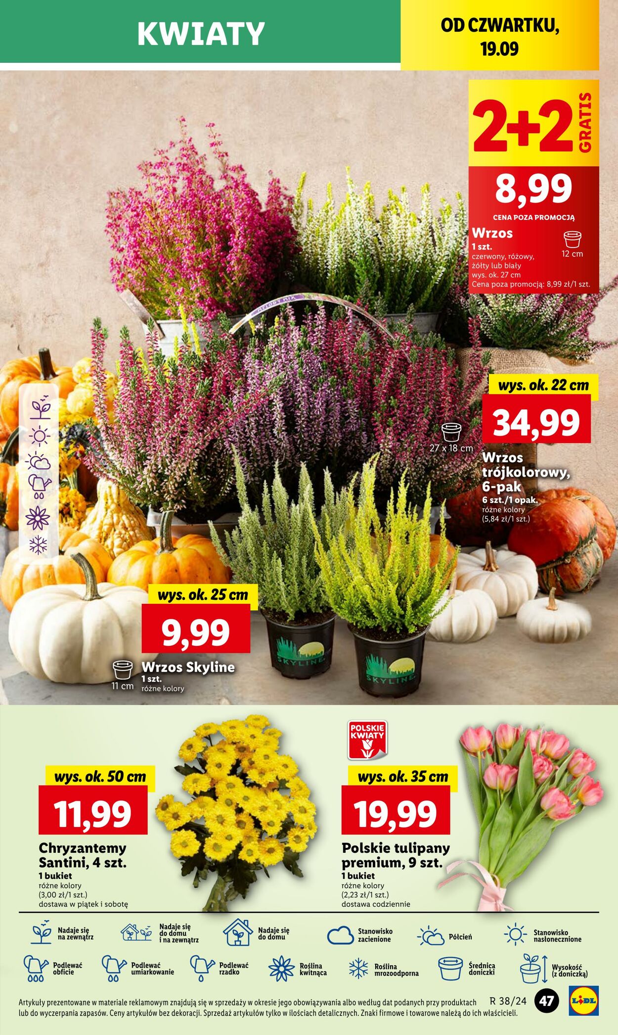 Gazetka Lidl 19.09.2024 - 21.09.2024