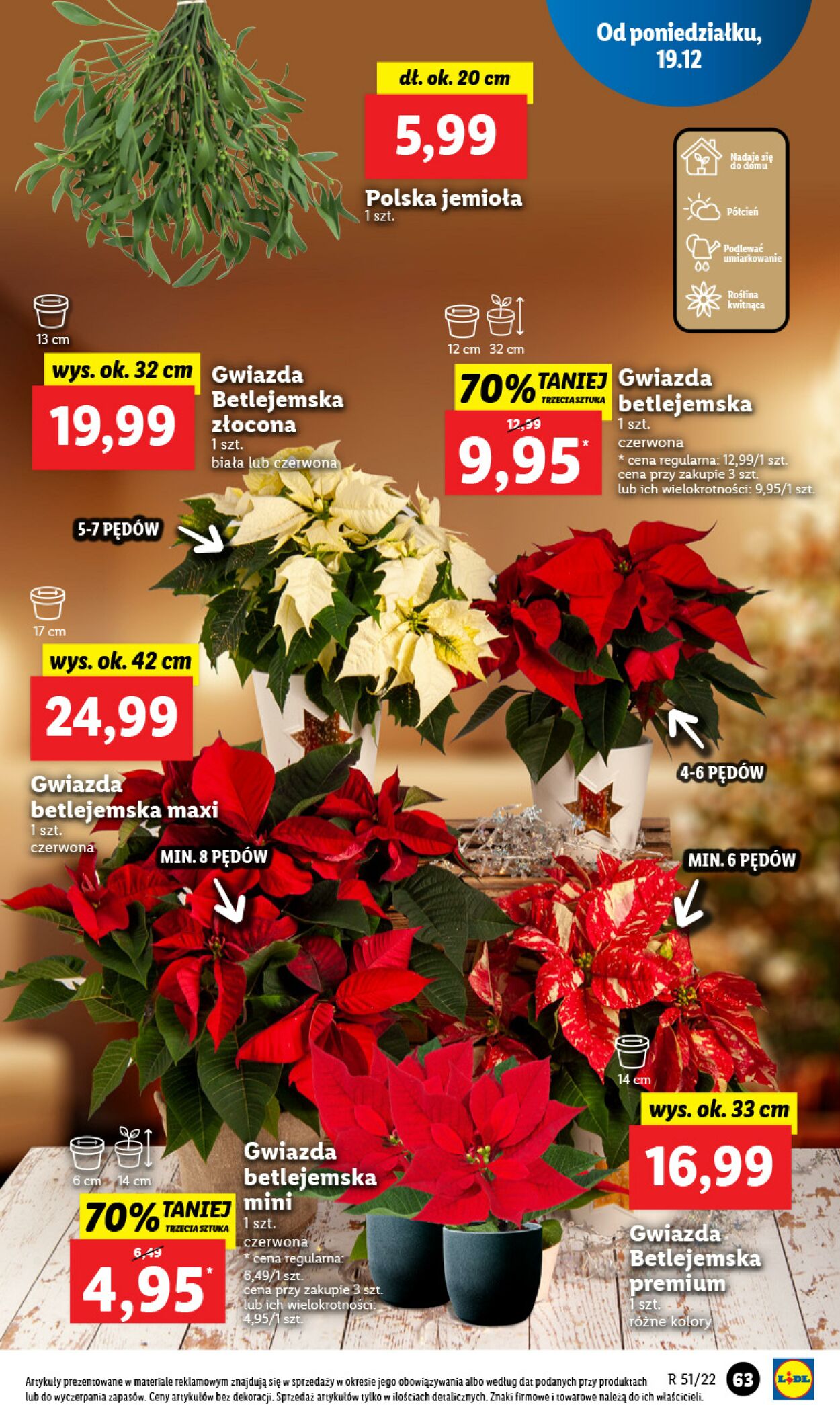 Gazetka Lidl 19.12.2022 - 21.12.2022