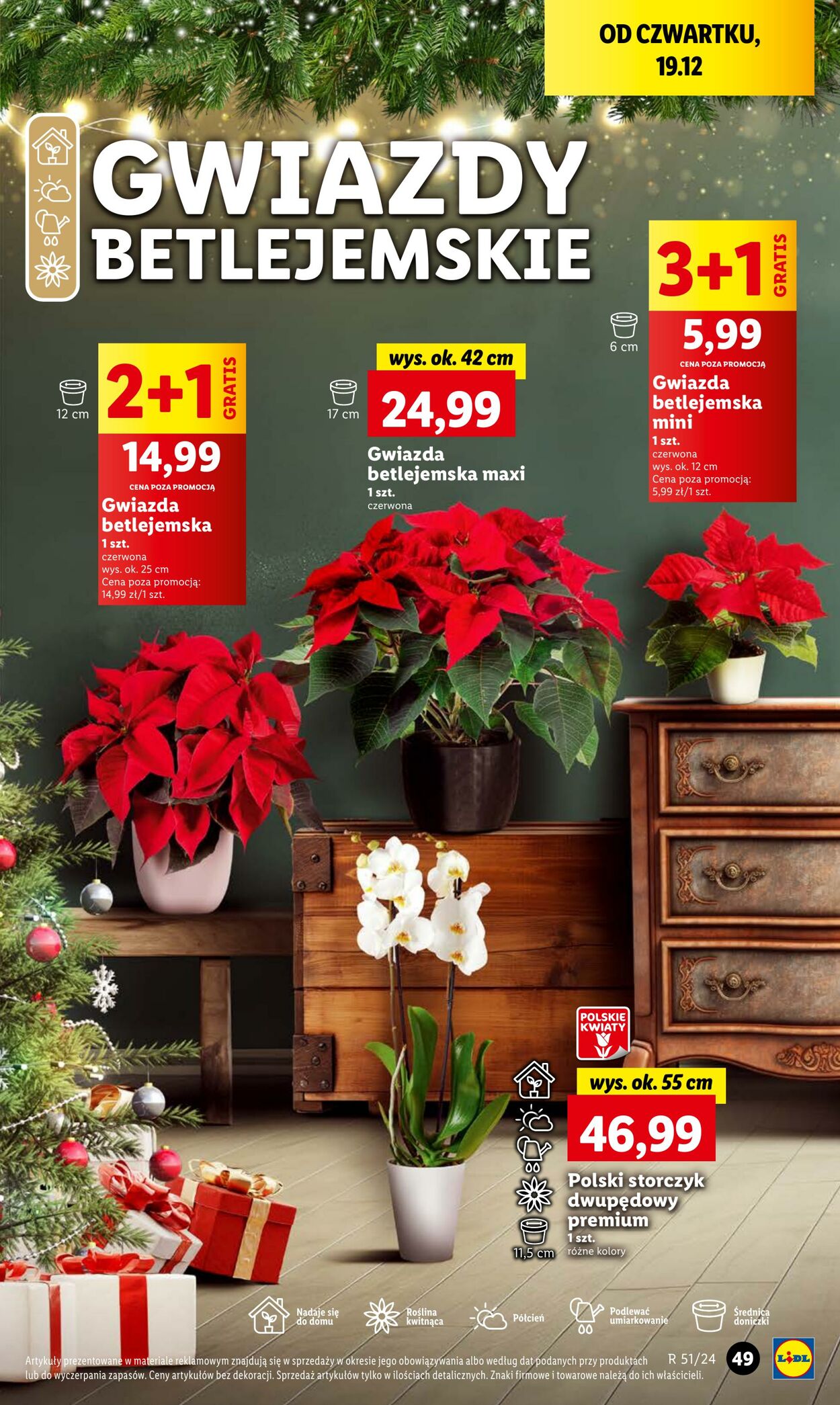 Gazetka Lidl 19.12.2024 - 22.12.2024