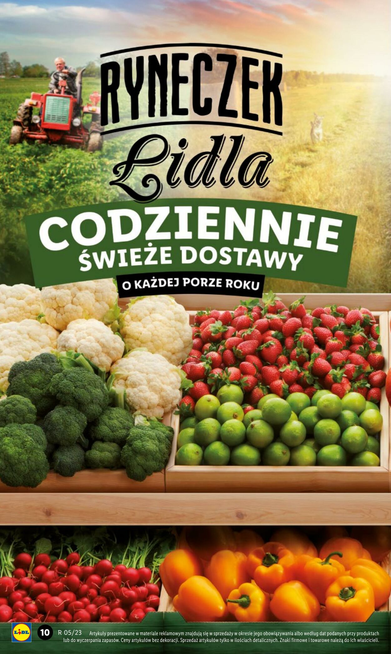 Gazetka Lidl 02.02.2023 - 04.02.2023