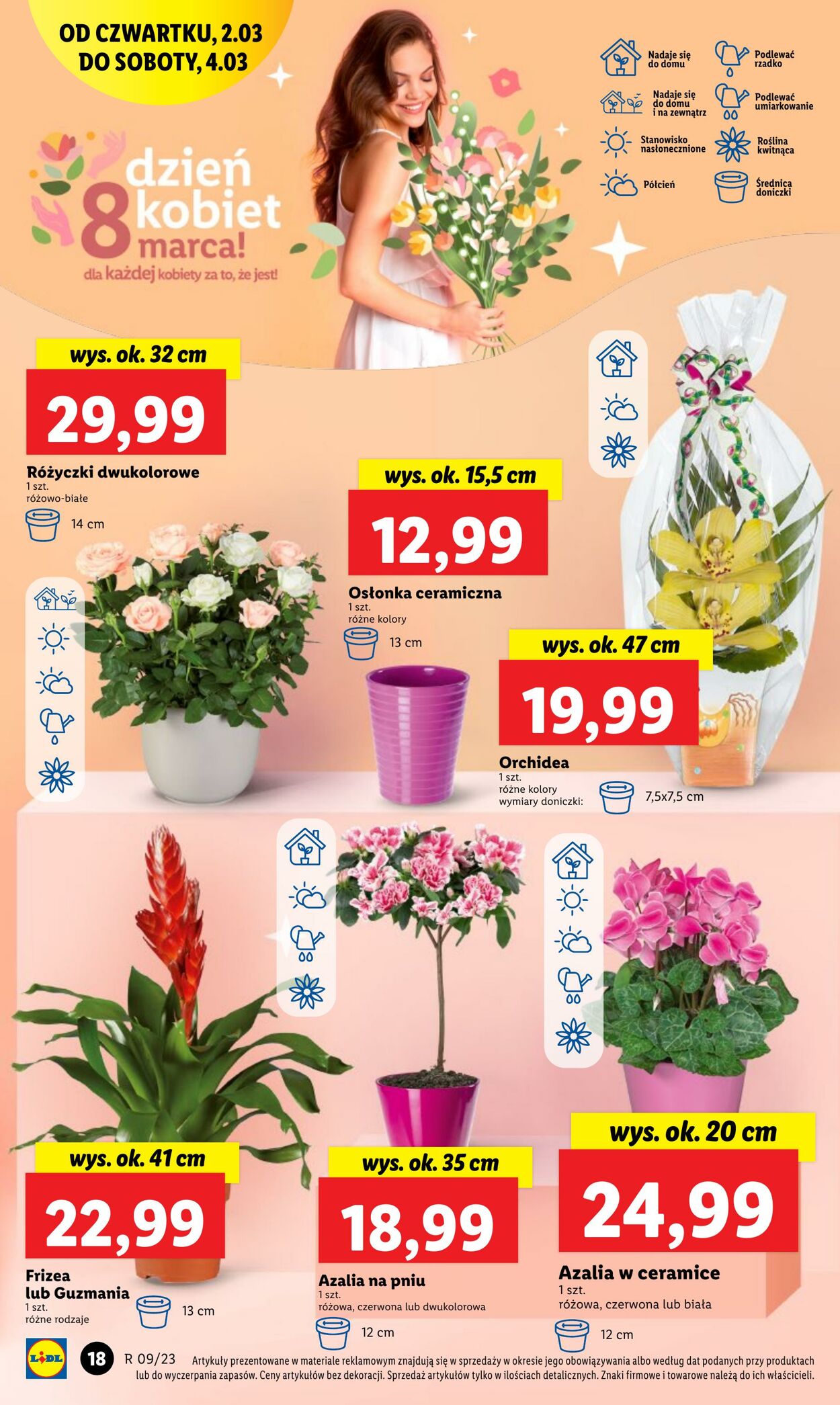 Gazetka Lidl 02.03.2023 - 04.03.2023