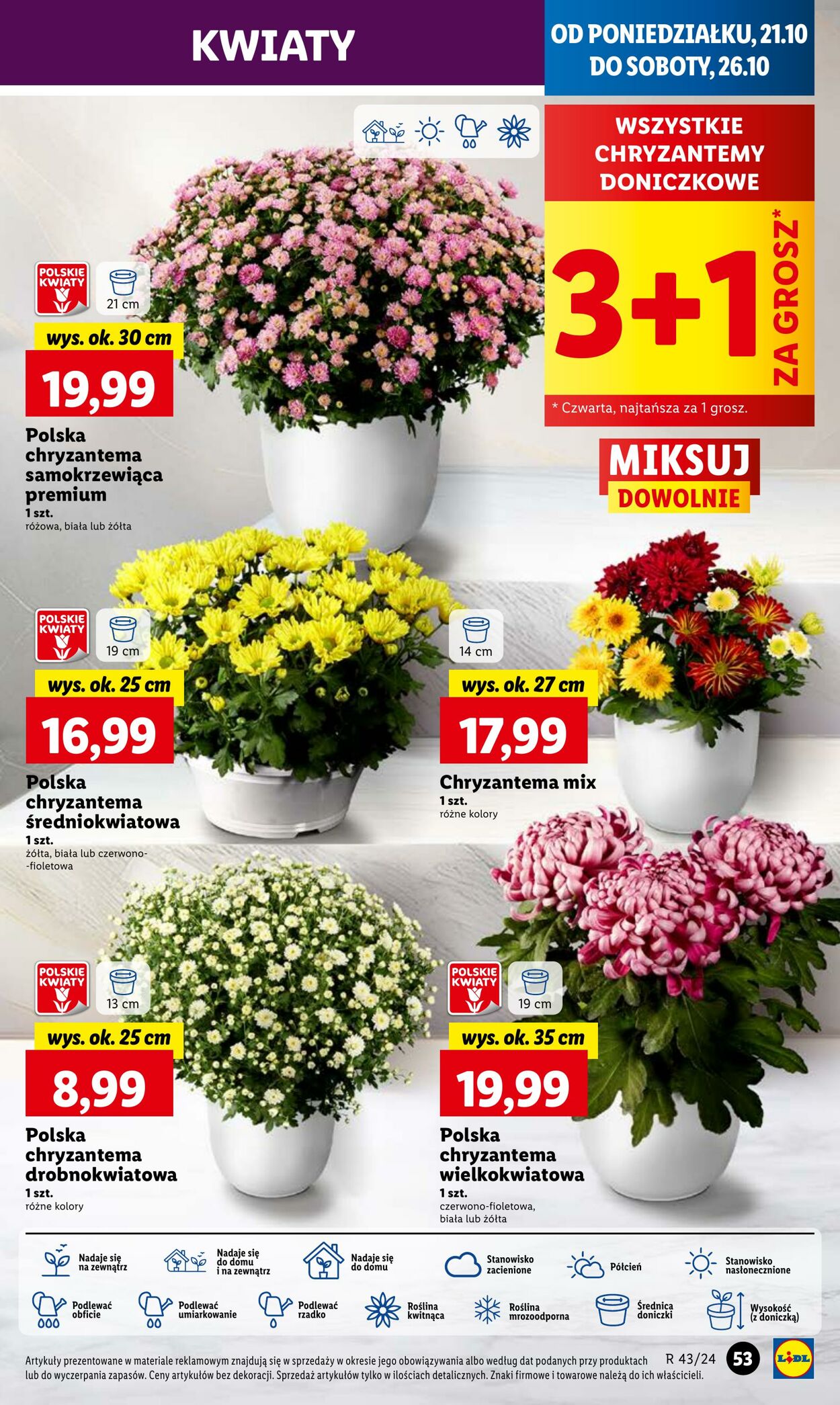 Gazetka Lidl 21.10.2024 - 23.10.2024