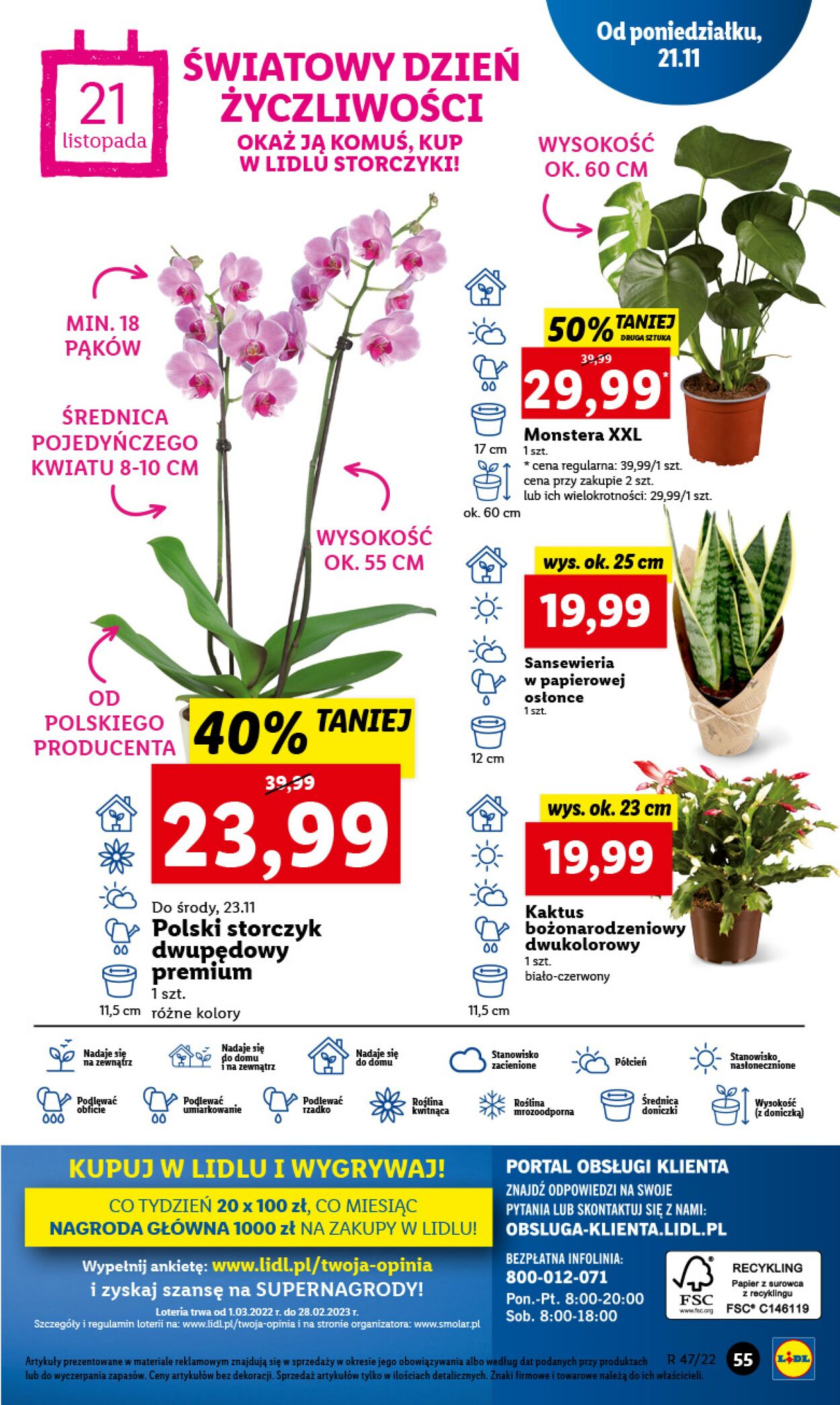 Gazetka Lidl 21.11.2022 - 23.11.2022