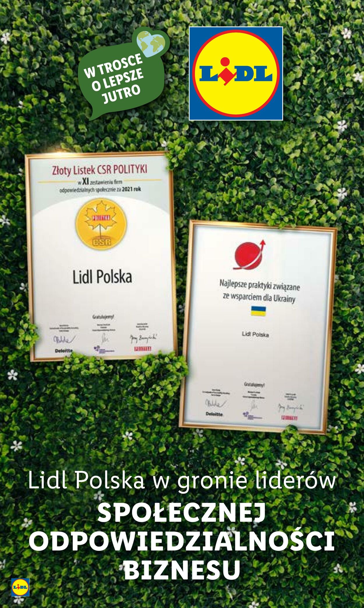 Gazetka Lidl 22.08.2022 - 28.08.2022