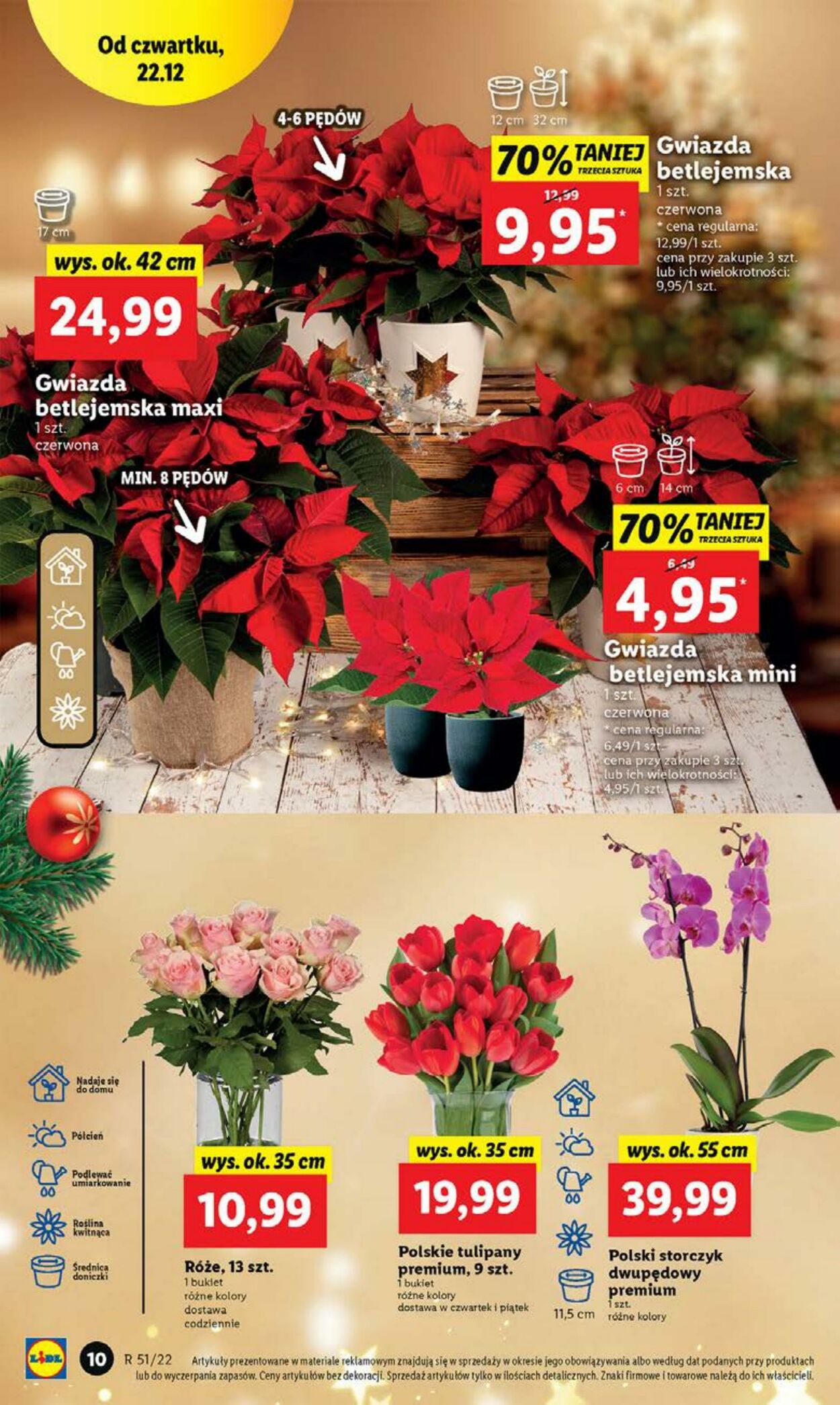 Gazetka Lidl 22.12.2022 - 24.12.2022