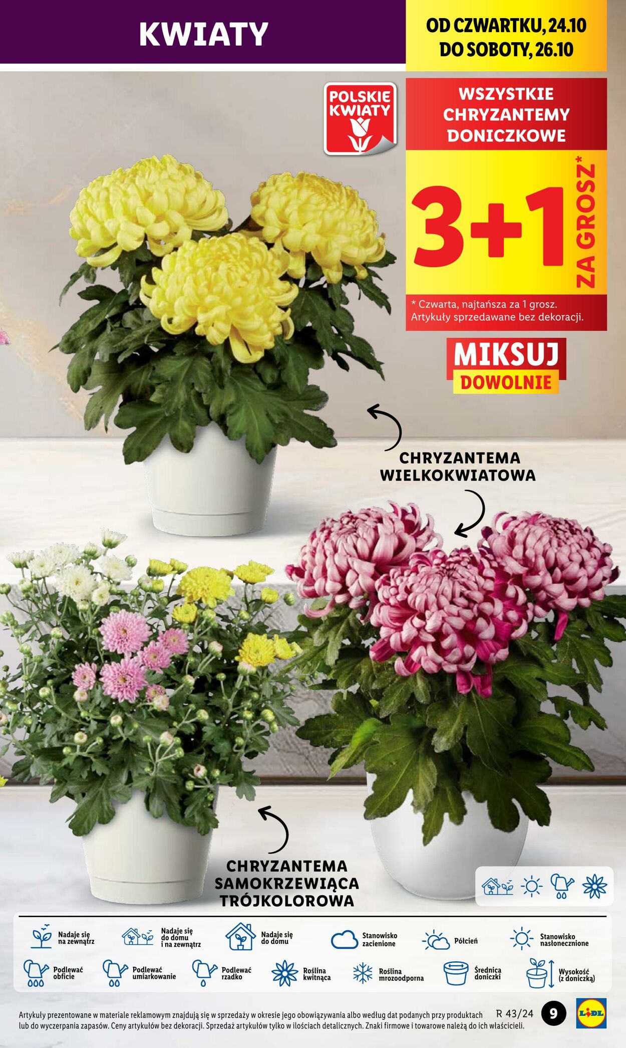 Gazetka Lidl 24.10.2024 - 26.10.2024